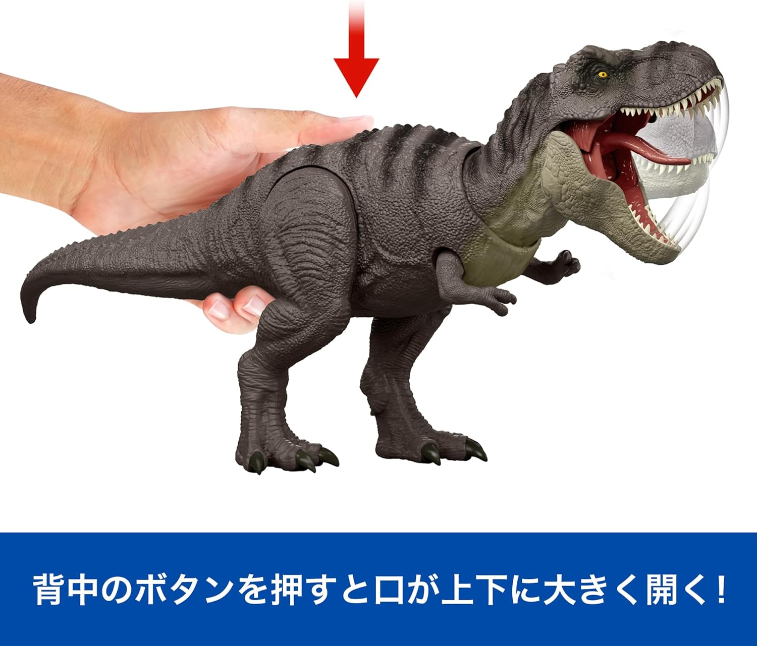 **MTS Toys**Mattel Jurassic World Rebirth : JGM16 Tyrannosaurus Rex [ความยาวจากหัวถึงหาง 46 ซ.ม.]