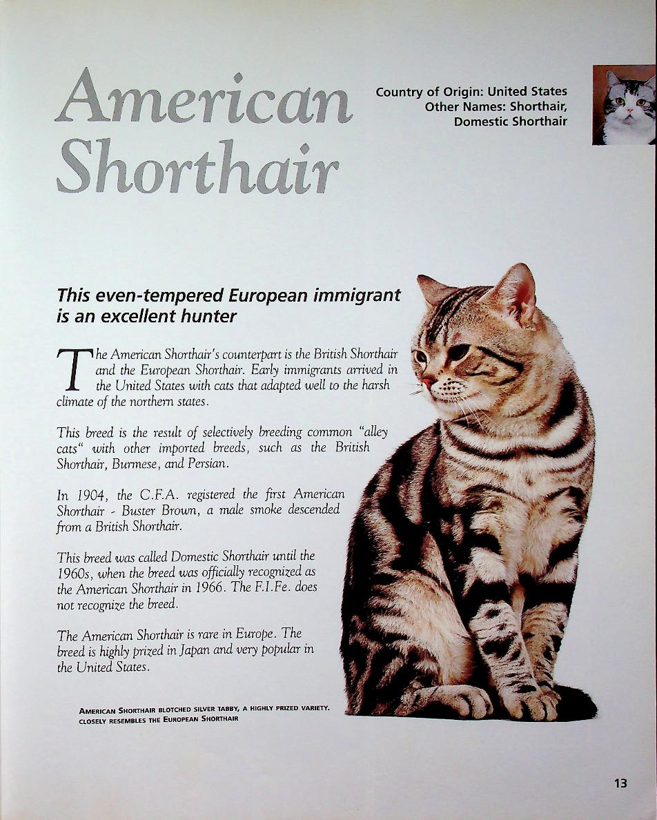 The Cat ENCYCLOPEDIA Volume 2