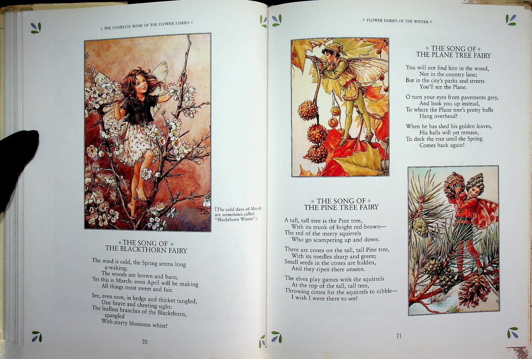 THE COMPLETE BOOK OF THE FLOWER FAIRIES