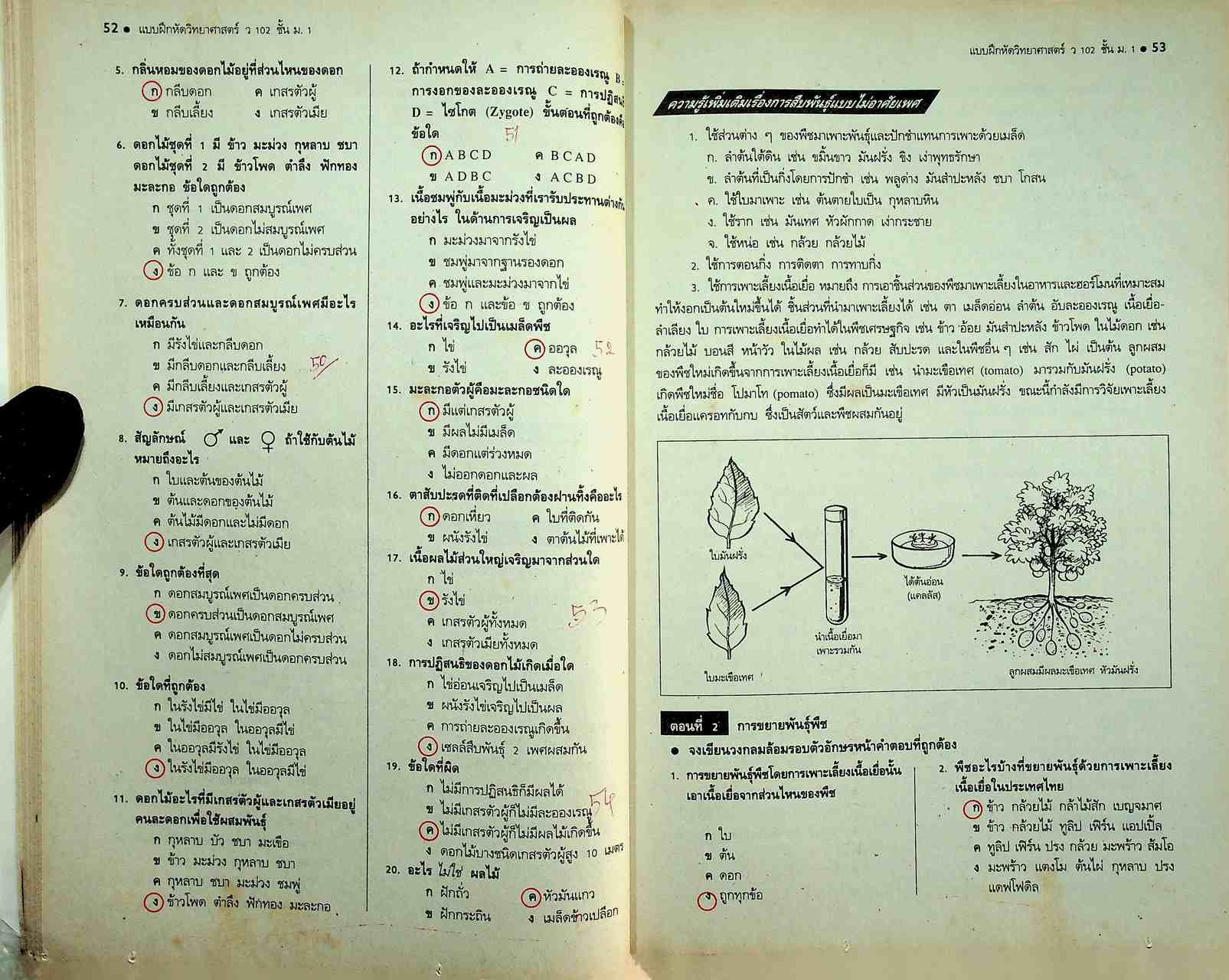 คู่มือครู-เฉลย แบบฝึกหัด วิทยาศาสตร์ ว 102 ชั้นมัธยมศึกษาปีที่ 1 ภาคเรียนที่ 2