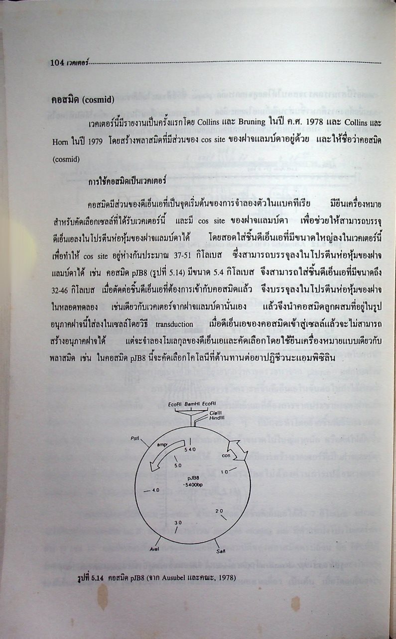 พันธุวิศวกรรมเบื้องต้น