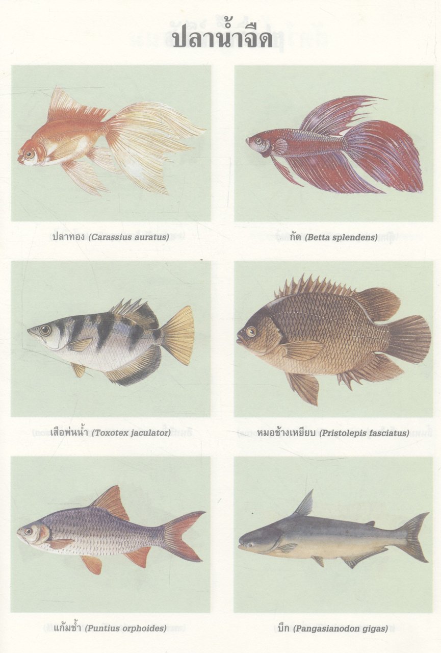 พจนานุกรม ฉบับราชบัณฑิตยสถาน พ.ศ.๒๕๒๕