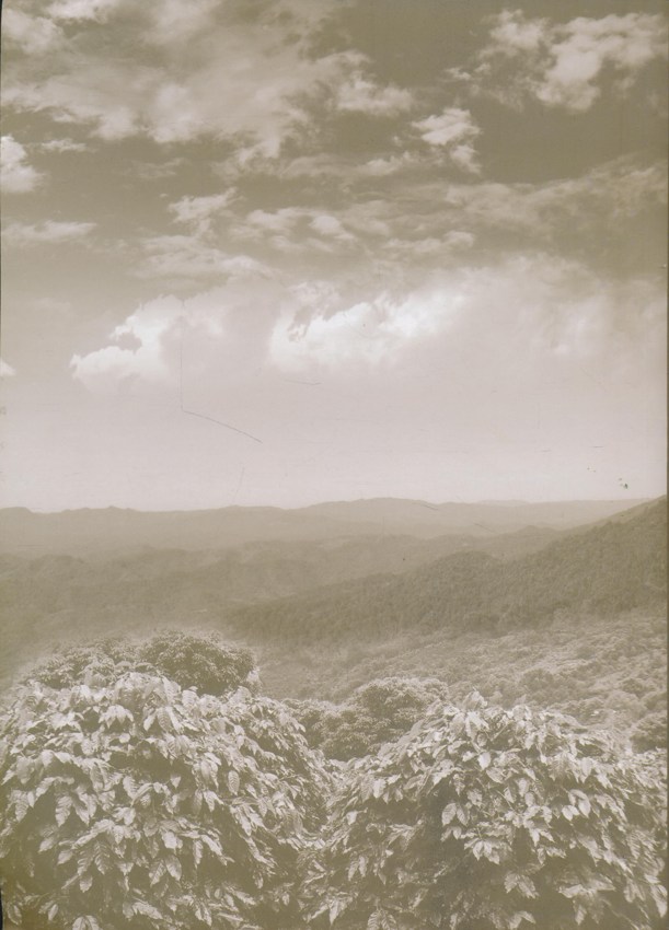 ดุจหยาดฝนจากฟ้า ธ สถิตในดวงใจไทยนิรันดร์