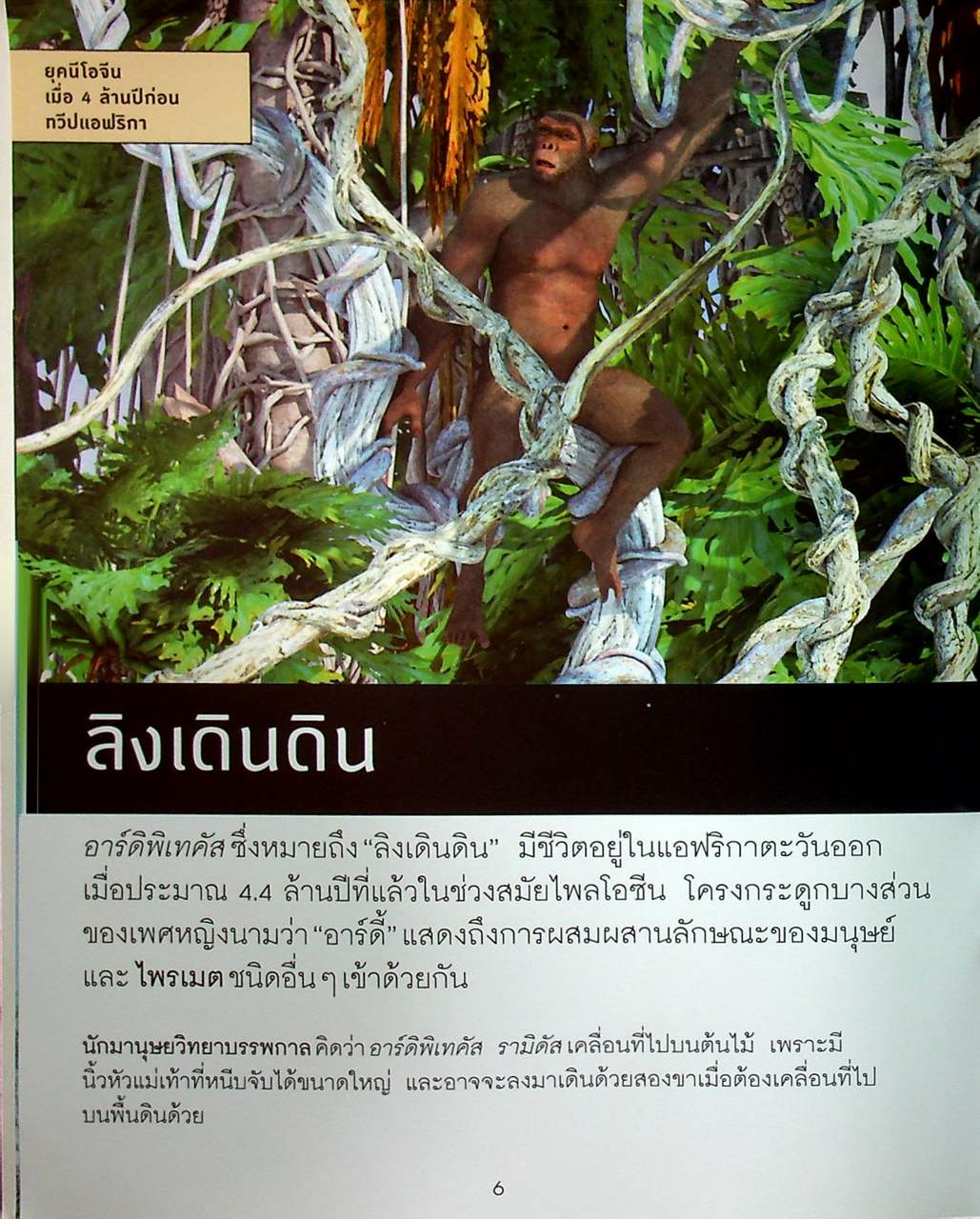 โลกยุคก่อนประวัติศาสตร์ กำเนิดมนุษย์