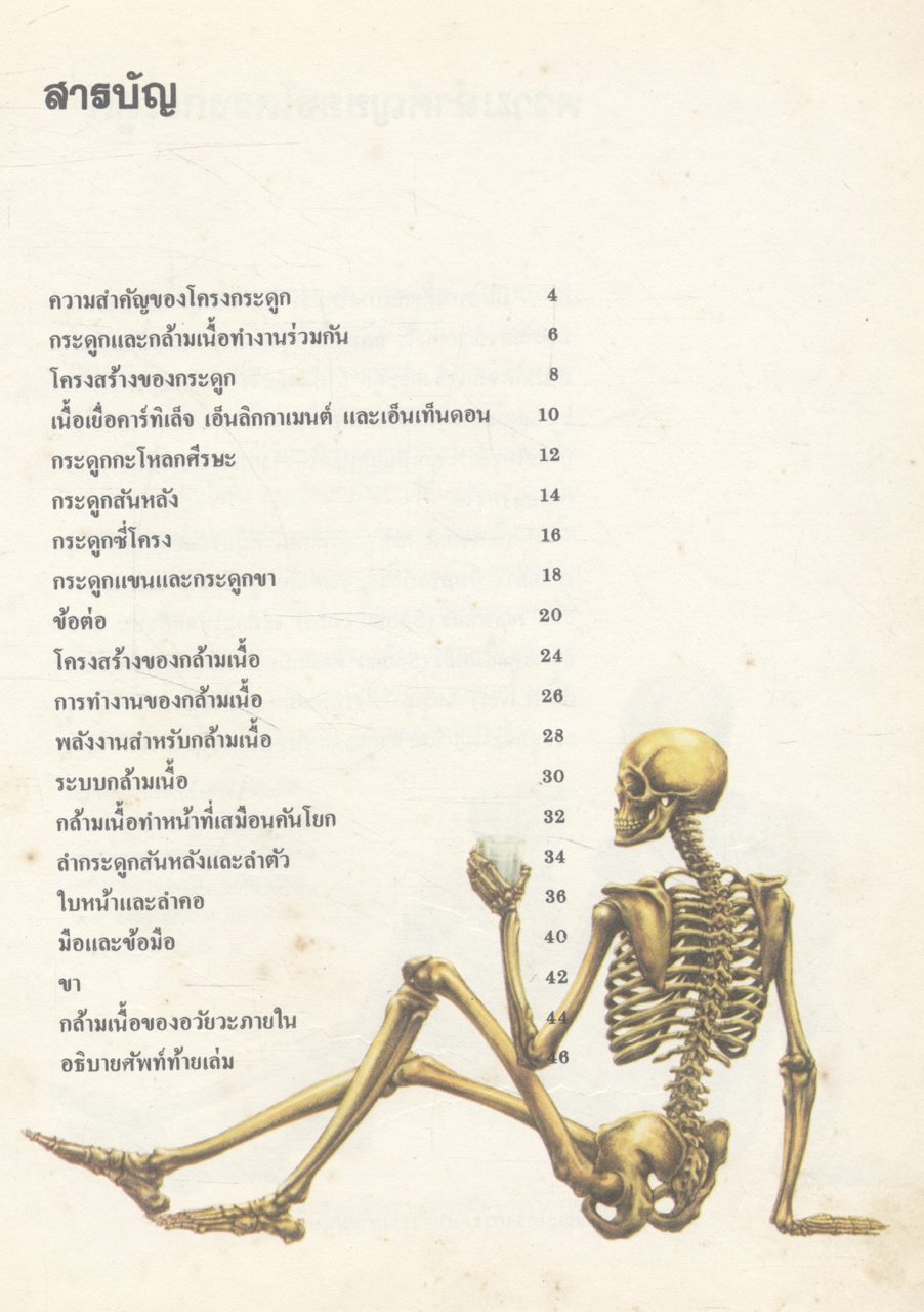 สารานุกรมชุดร่างกายของเรา โครงกระดูกและการเคลื่อนไหว