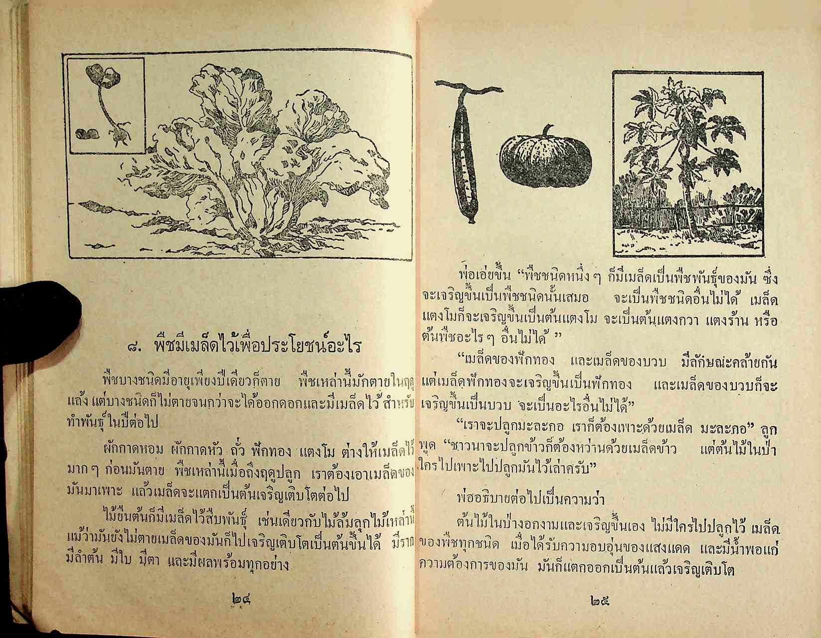 แบบเรียนวิทยาศาสตร์เบื้องต้น เล่ม ๓ ชั้นประถมปีที่ ๓