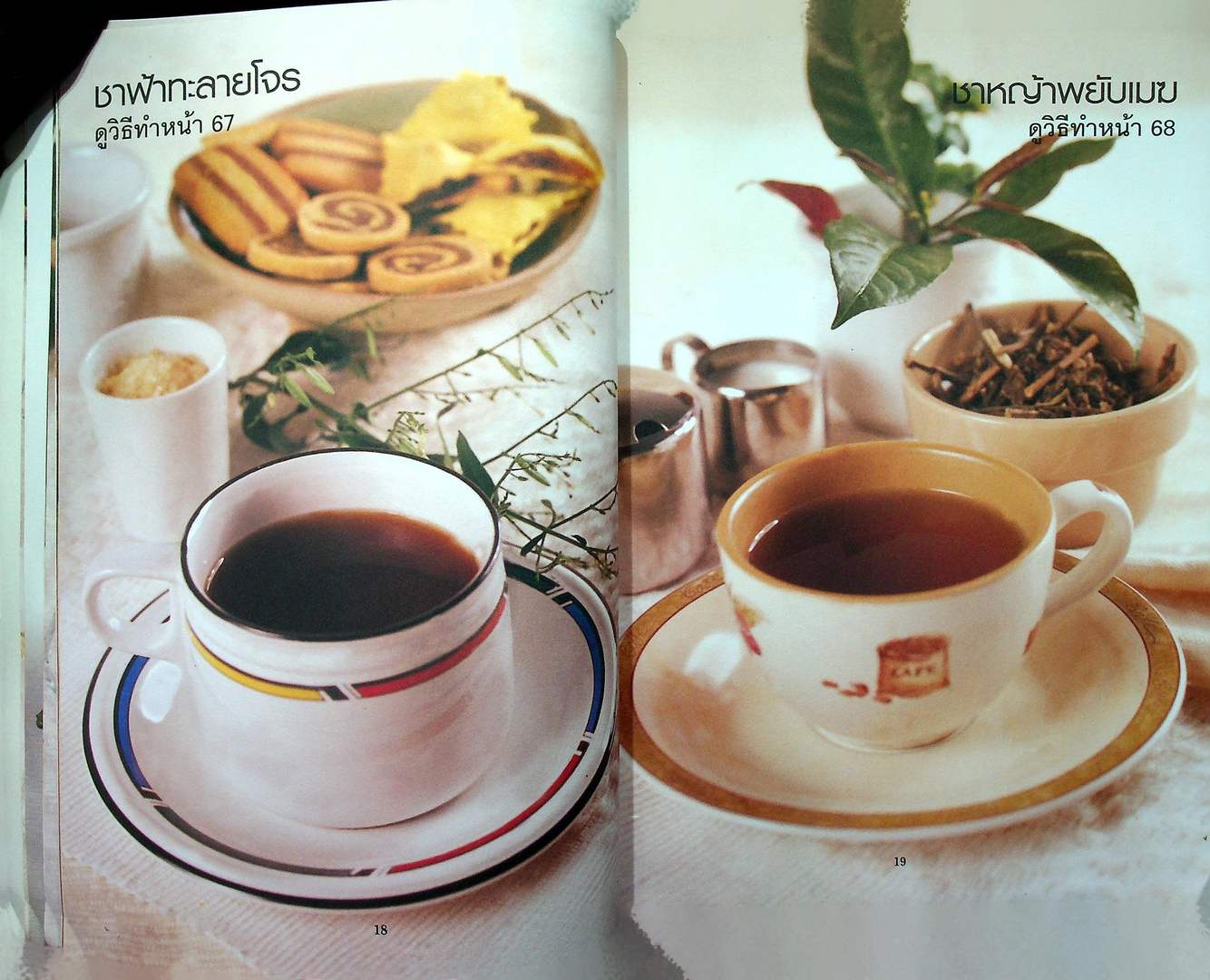 ชาสมุนไพร และน้ำผักสมุนไพร เพื่อสุขภาพและพลังงาน