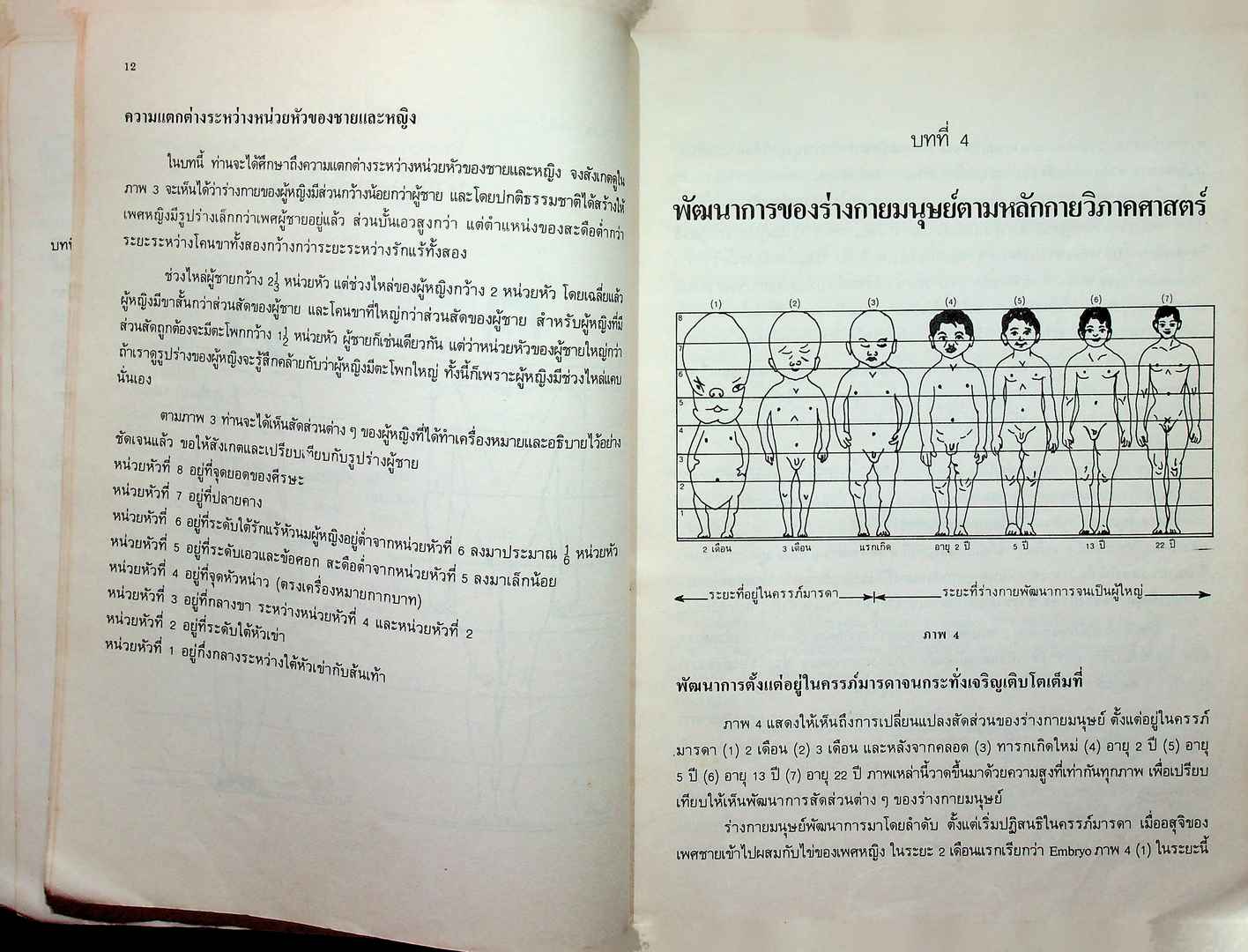 การออกแบบเสื้อ ตามลักษณะทางกายวิภาค