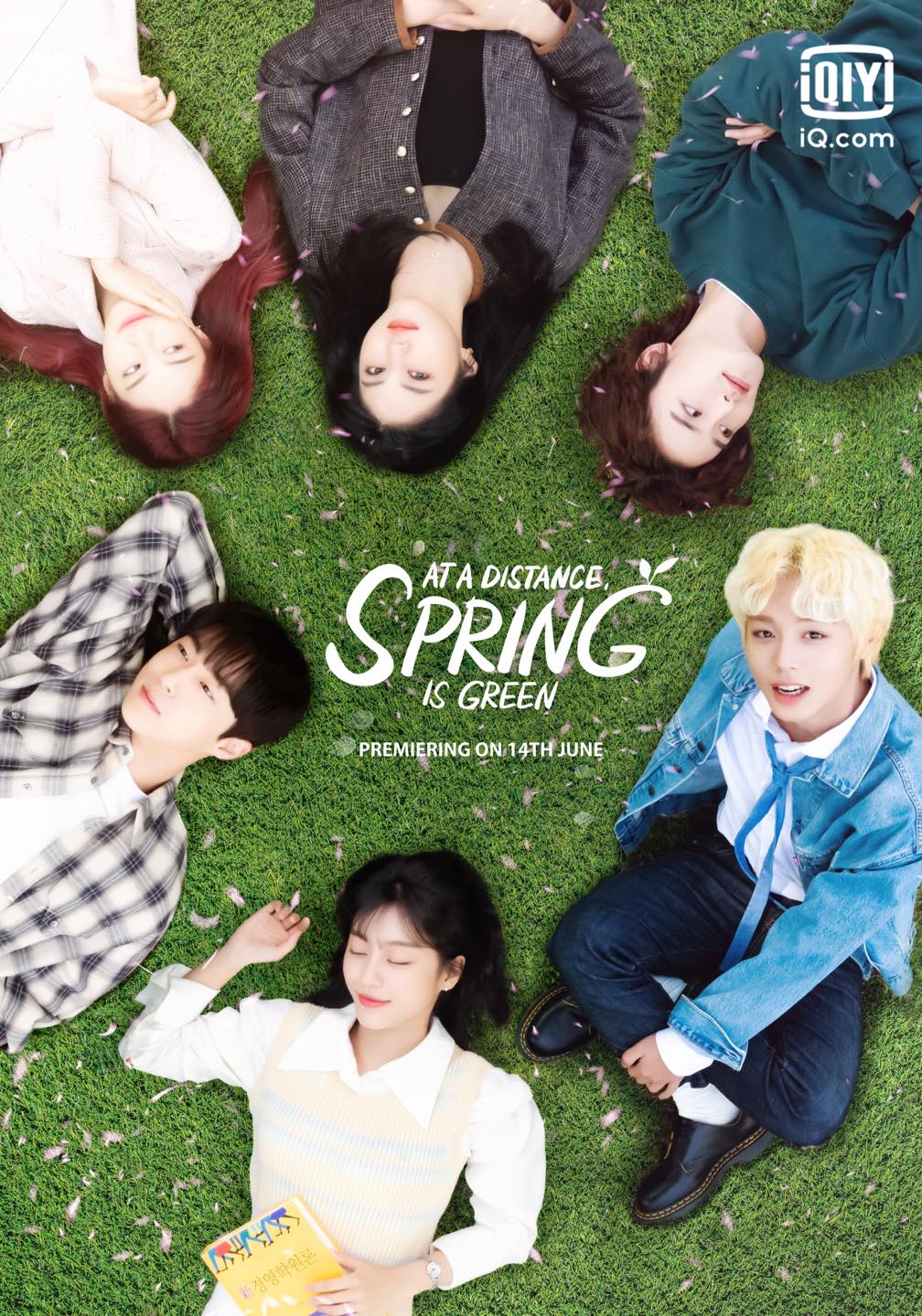 DVD ซีรี่ย์เกาหลี At a Distance, Spring is Green (ซับไทย) 4 แผ่นจบ.