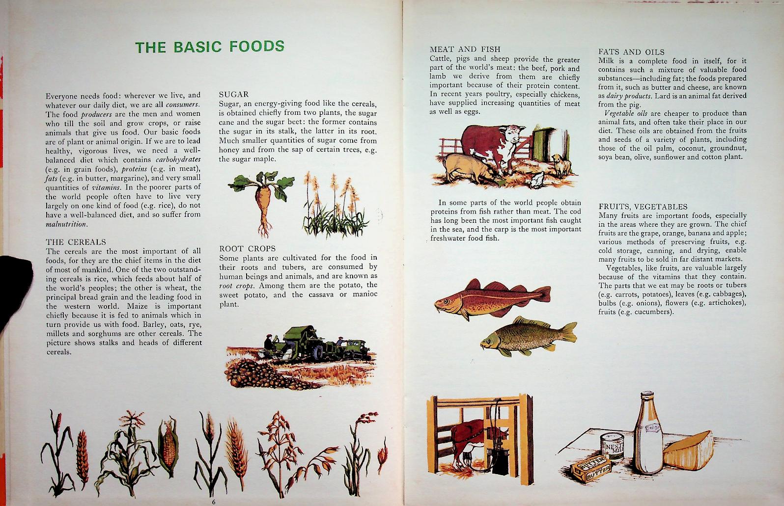 MAN AND HIS WORLD : FOOD