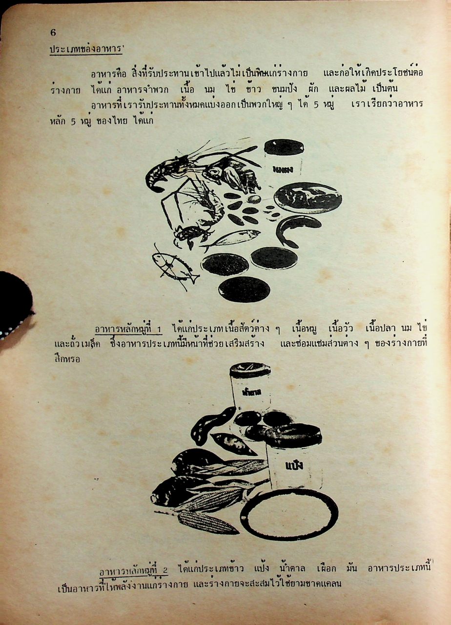 สร้างเสริมประสบการณ์ชีวิต 1 เล่มที่ 1 บทที่ 1-10