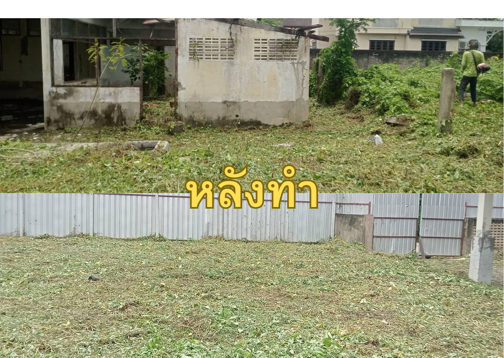 บริการรับตัดหญ้า เคลียร์ริ่ง ถางป่า โทร 094-515-7920 บริการรับตัดหญ้า เคลียร์ริ่ง ถางป่า โทร 094-515-7920
