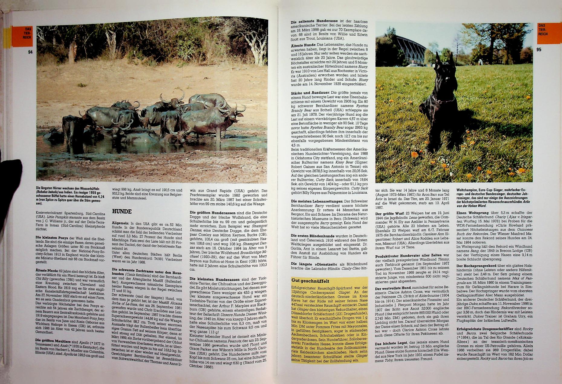 GUINNESS BUCH DER REKORDE 1990 (ฉบับภาษาเยอรมัน)