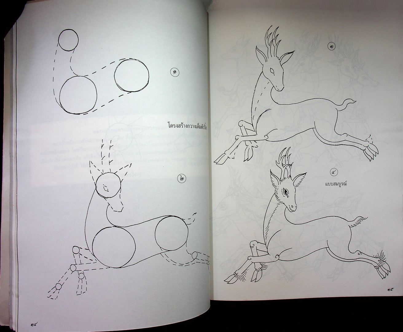 เส้นสายลายไทย ชุด สิงห์สาราสัตว์