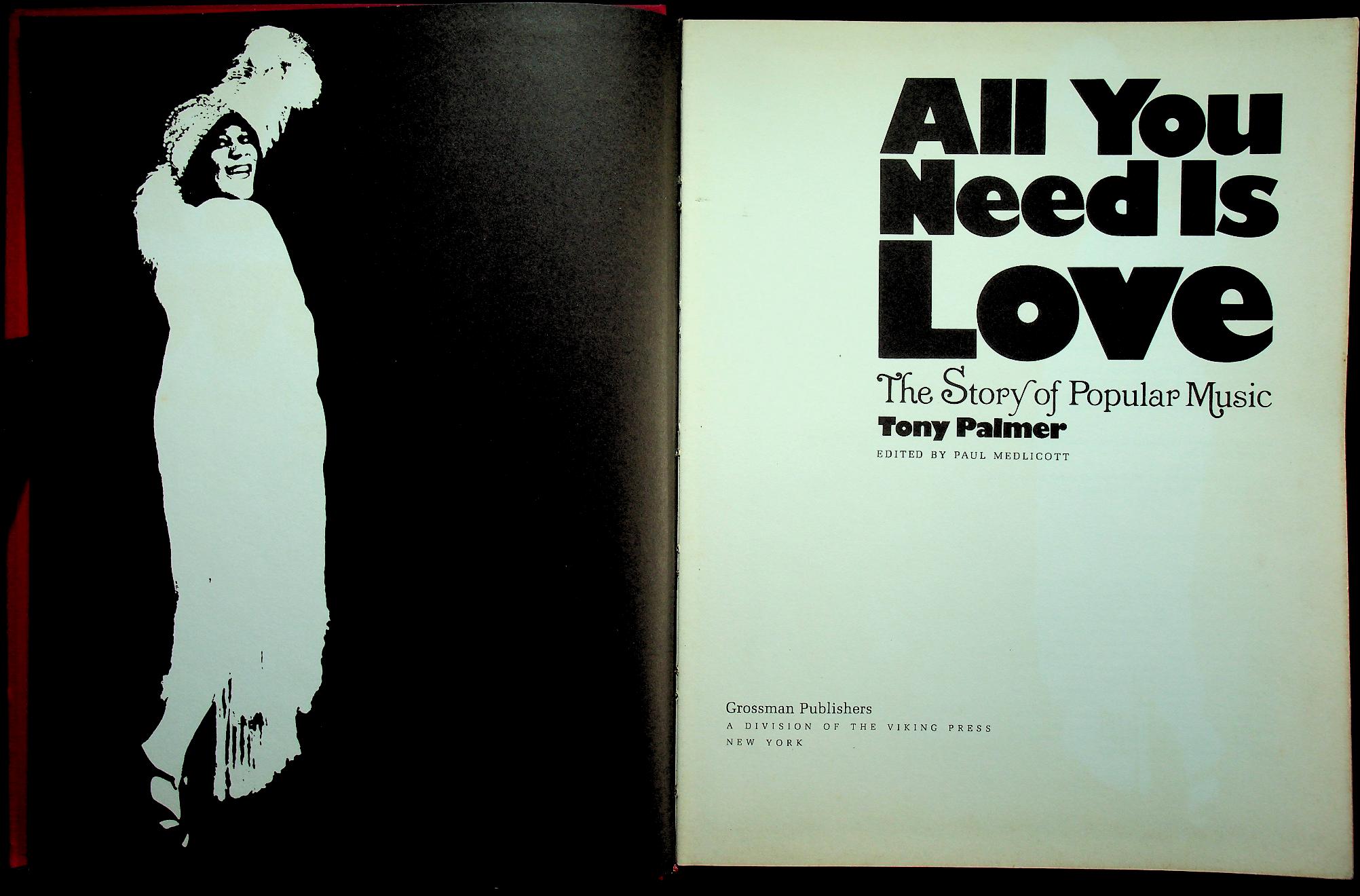 All You Need Is Love : The Story of Popular Music
