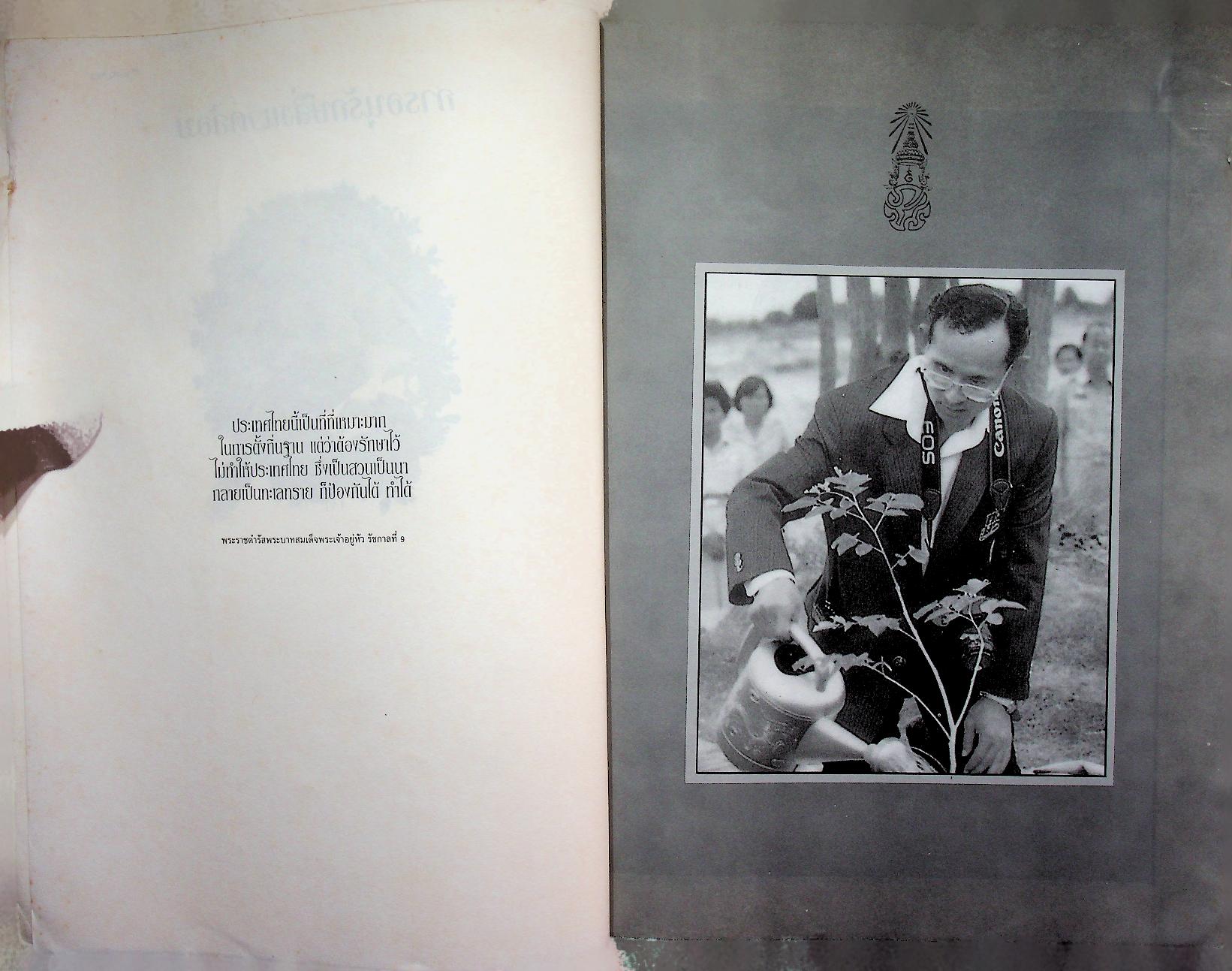 การอนุรักษ์สิ่งแวดล้อม