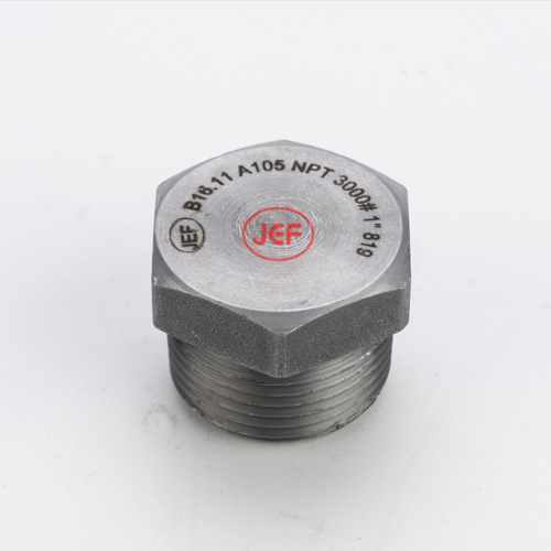 ปลั๊กอุดเกลียวสตีม 3000P ( NPT )