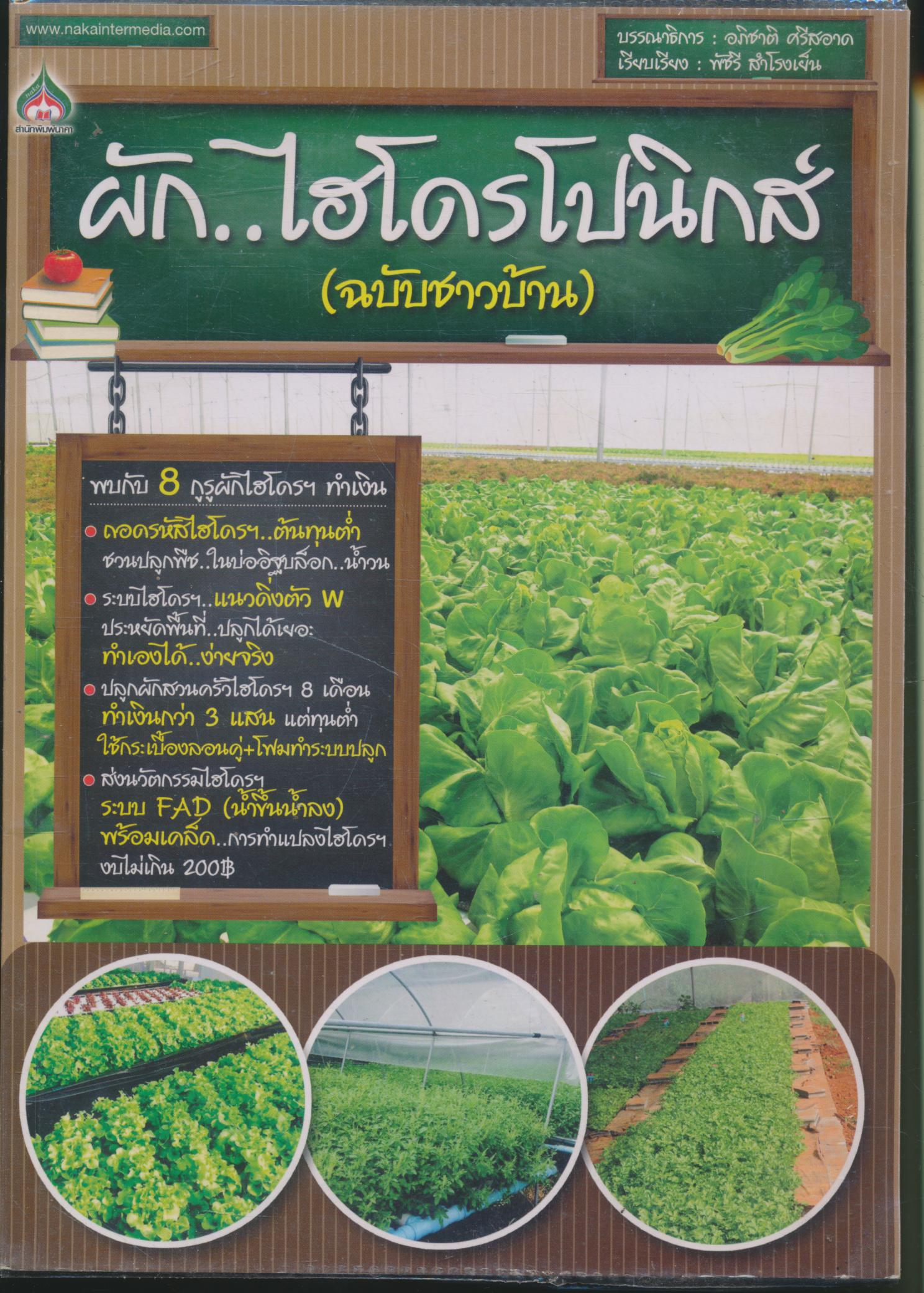 ผักไฮโดรโปนิกส์ (ฉบับชาวบ้าน)