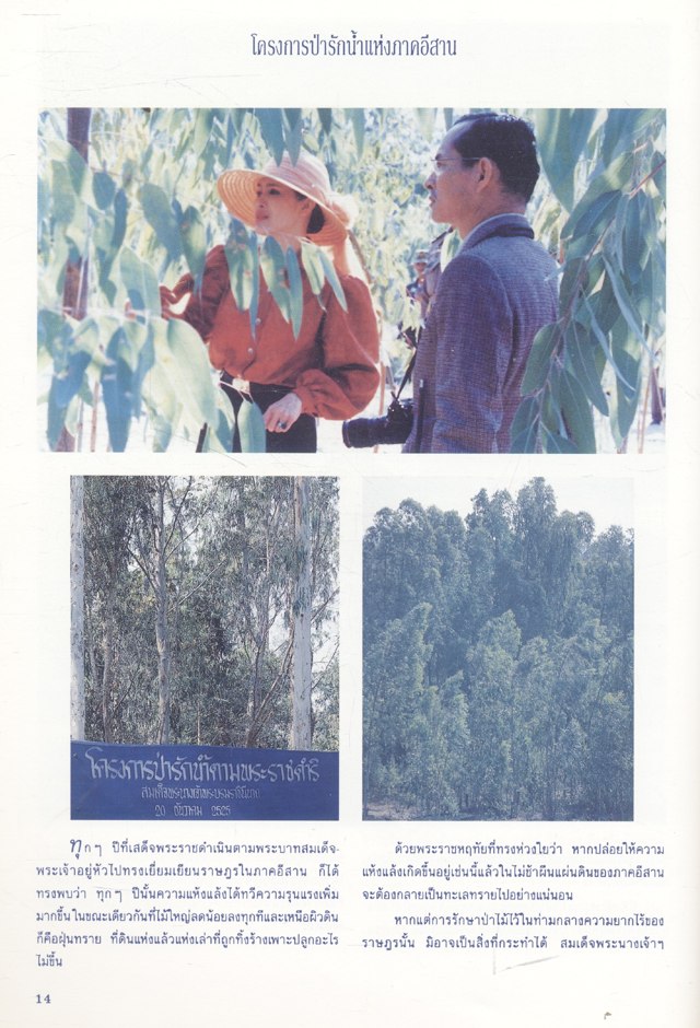 น้ำพระทัย ดุจน้ำฟ้า สู่ป่าฝน : เฉลิมพระเกียรติสมเด็จพระนางเจ้าฯ พระบรมราชินีนาถ ในมหามงคล เฉลิมพระชนมพรรษา 5 รอบ พ.ศ.2535