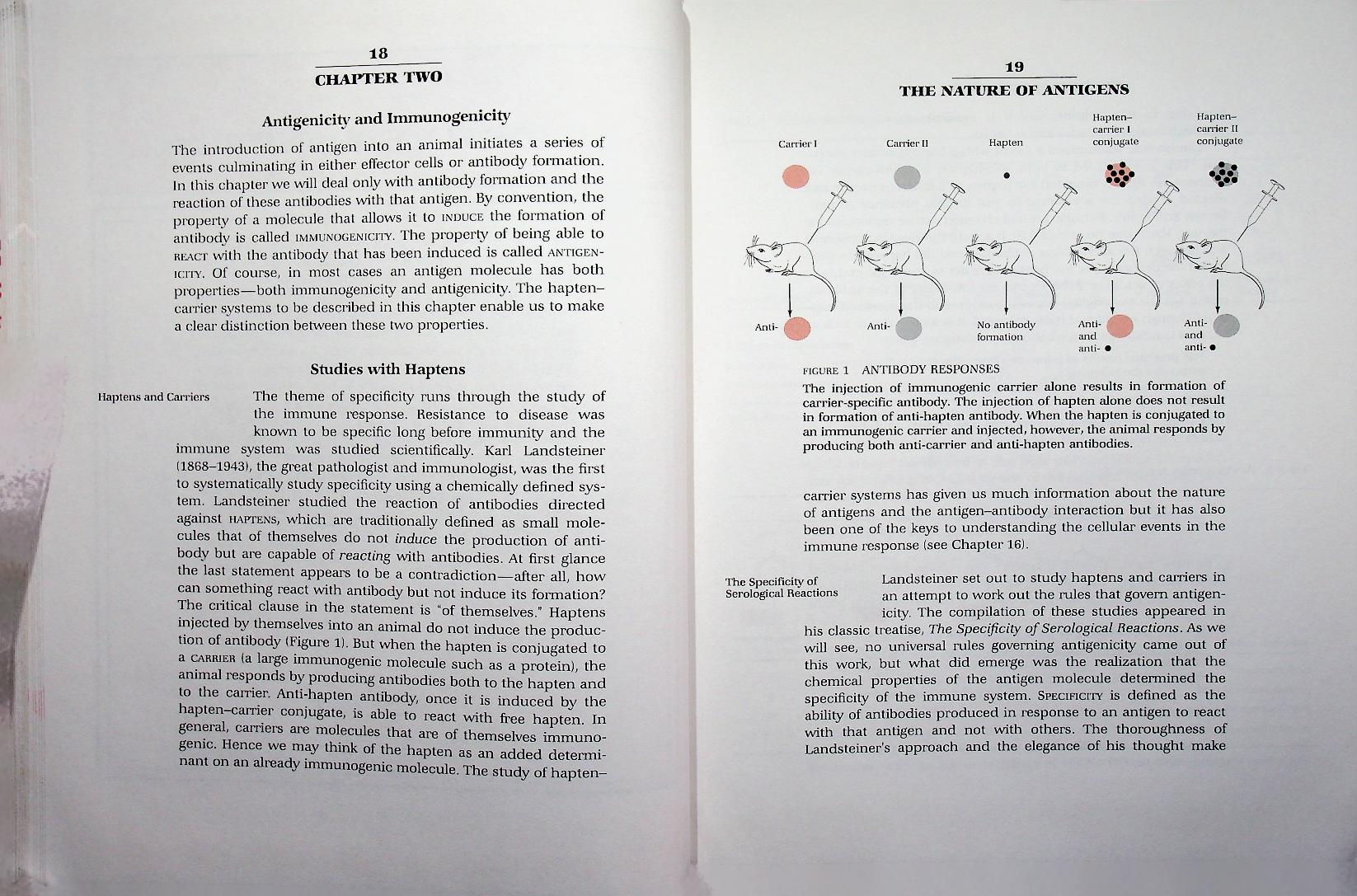 IMMUNOLOGY: A SYNTHESIS