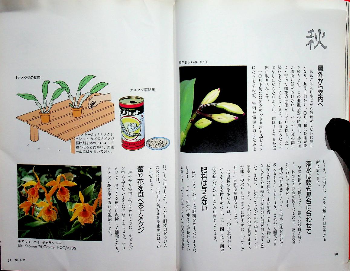 JOYFUL GREEN LIFE : Orchid (ดอกกล้วยไม้ ฉบับภาษาญี่ปุ่น)