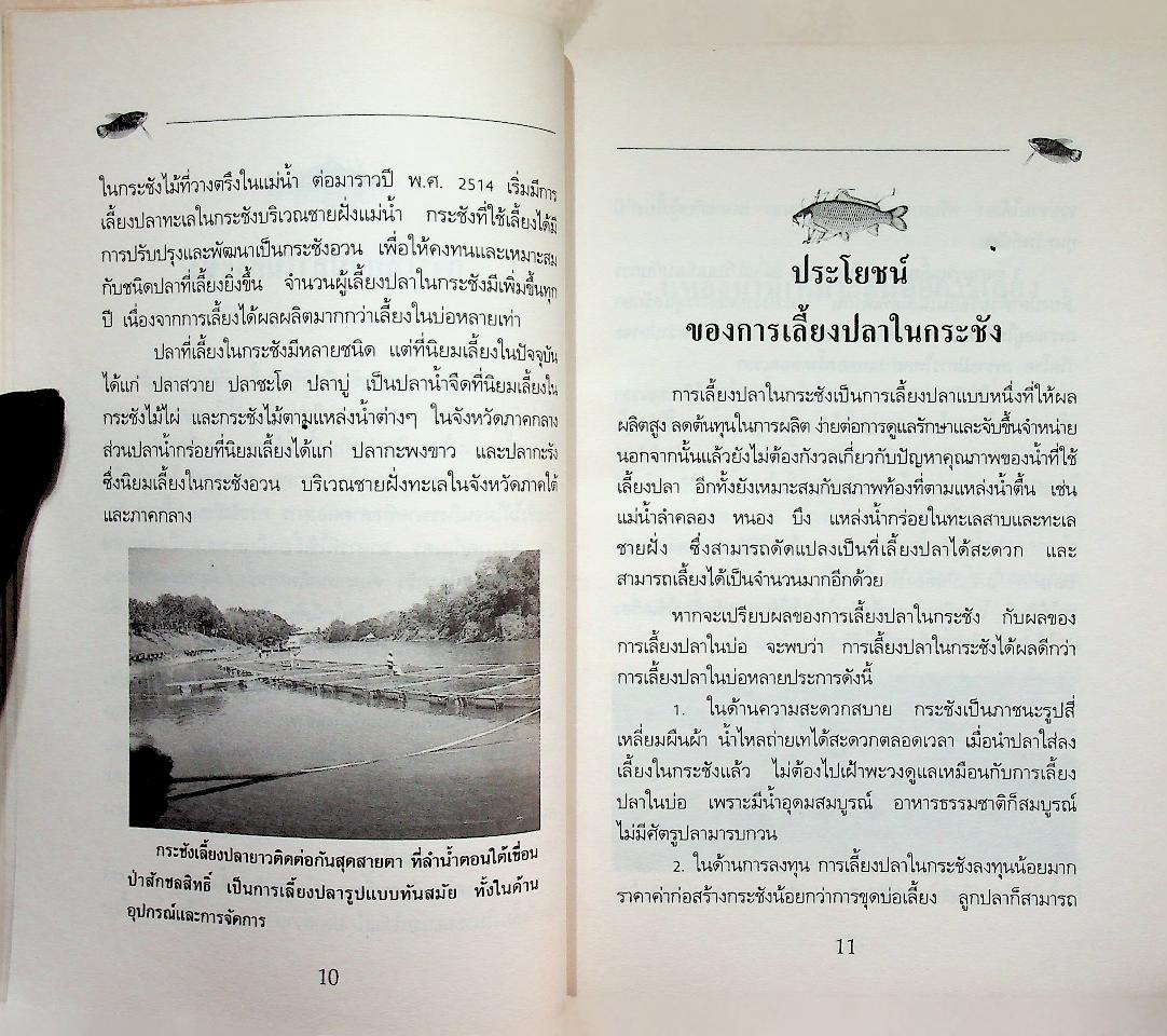 คู่มือการเลี้ยง ปลาในกระชัง