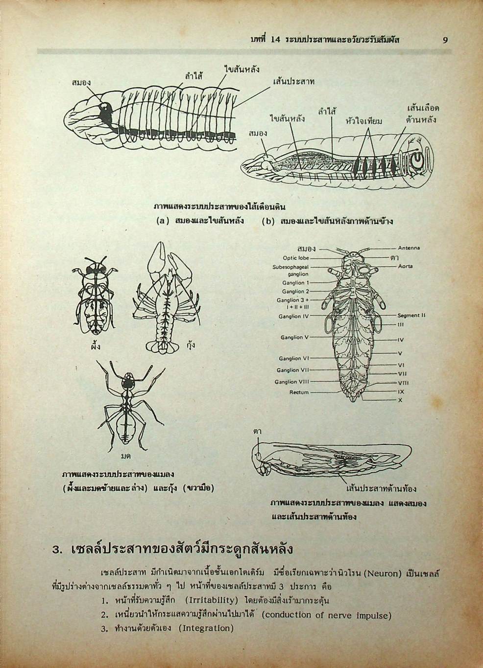 คู่มือเตรียมสอบ ชีววิทยา ม.6 เล่ม 5 ว 044