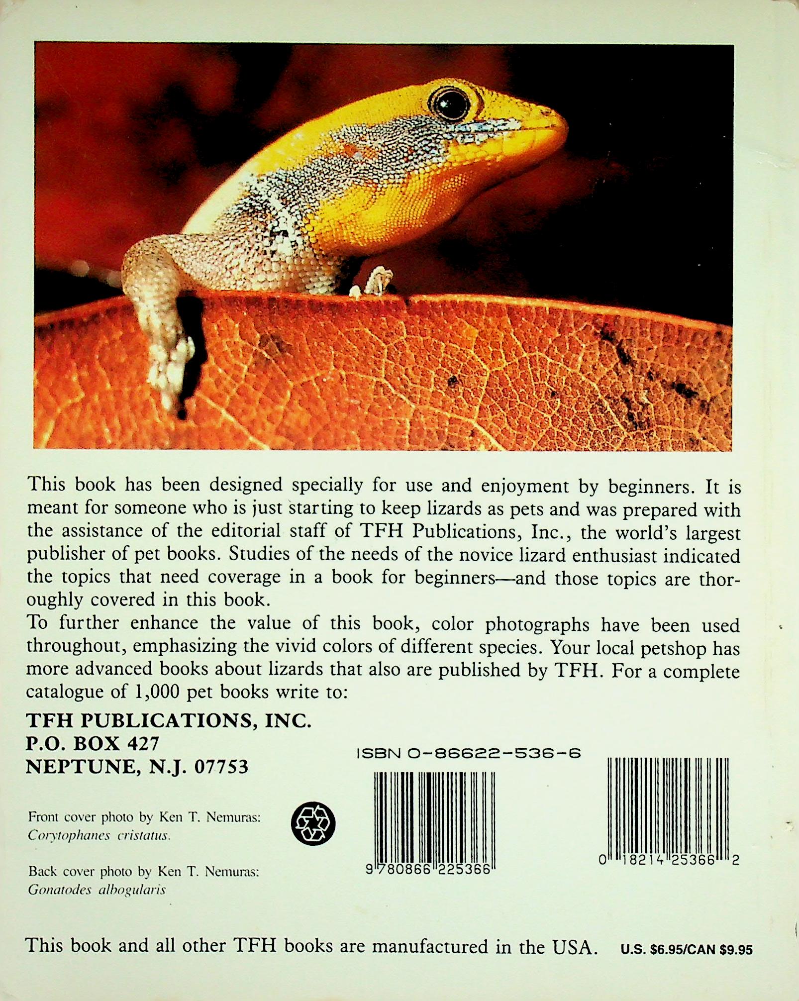 LIZARDS AS A NEW PET