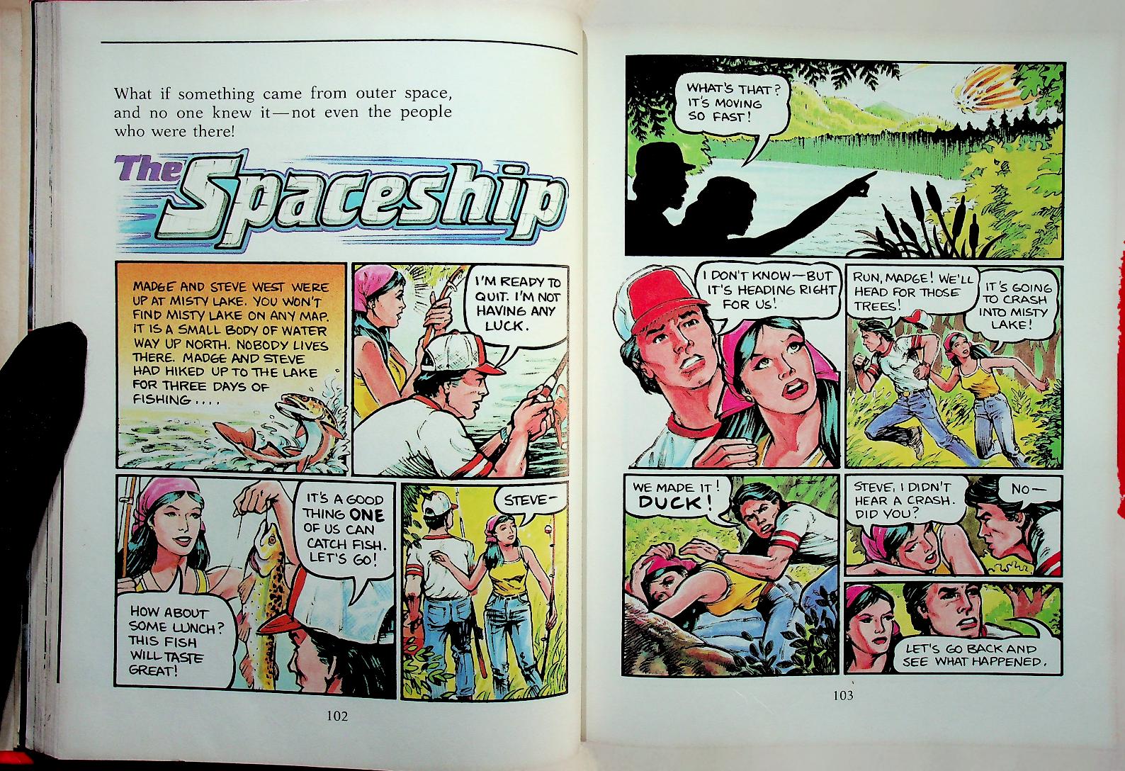 WINGS FORTUNES TEXAS (NEW DIRECTIONS IN READING)