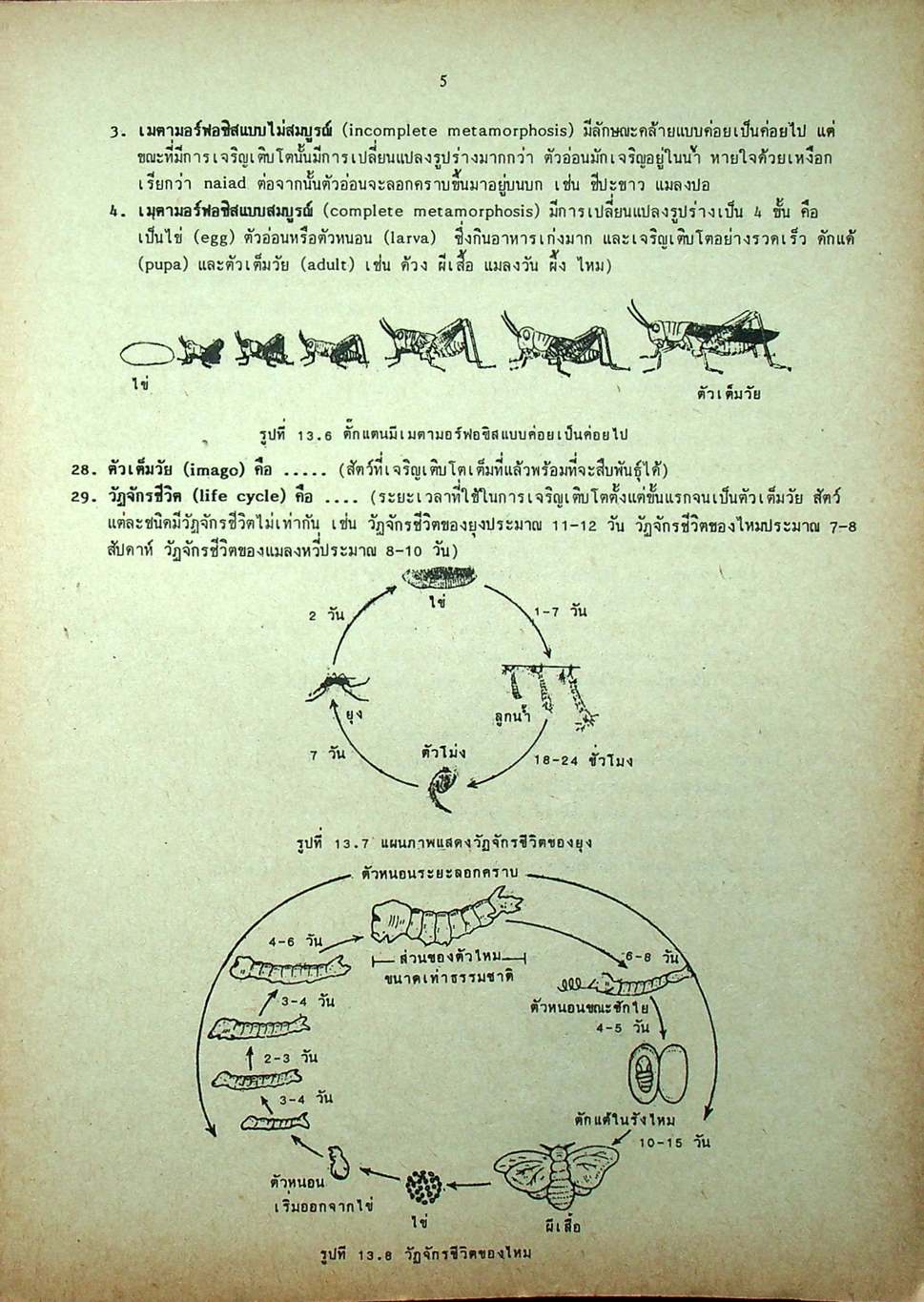 คู่มือ วิทยาศาสตร์ ม.3 เล่ม 5-6 ว.305,306 ปรับปรุงใหม่ สมบูรณ์ที่สุด