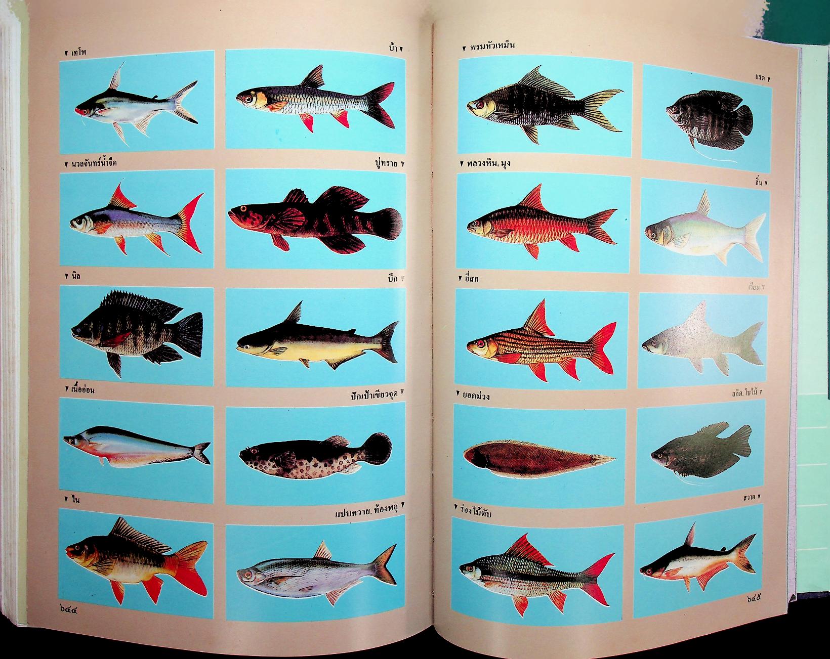 พจนานุกรม ฉบับเฉลิมพระเกียรติ พ.ศ. ๒๕๓๐