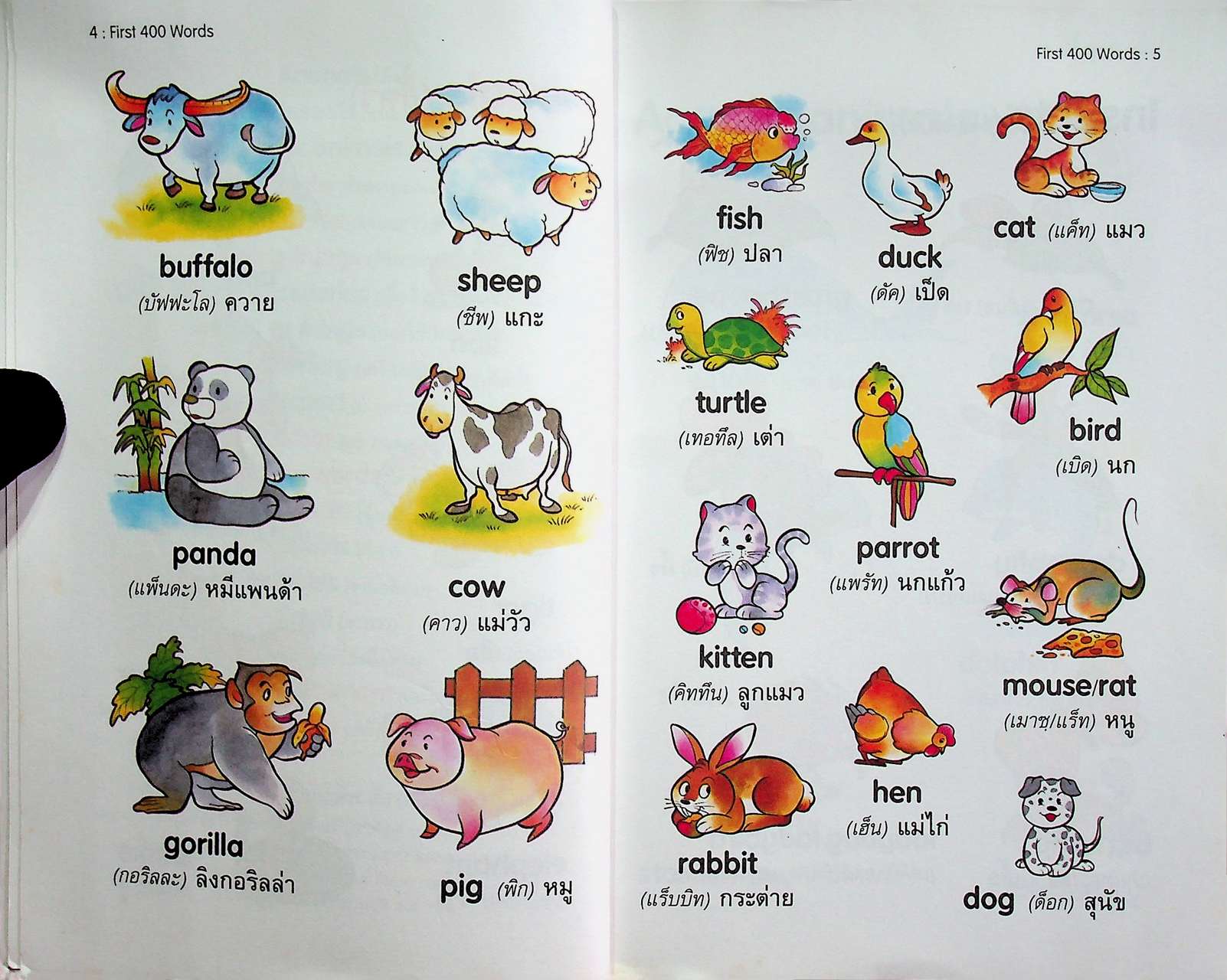 รวมคำศัพท์ภาษาอังกฤษสำหรับเด็กพร้อมภาพประกอบ FIRST 400 WORDS