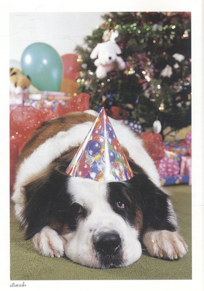 สัตว์เลี้ยงวังสระปทุม สิรินธร. DIARY 2549/2006 (เป็นหนังสือภาพและสมุดไดอารี่)