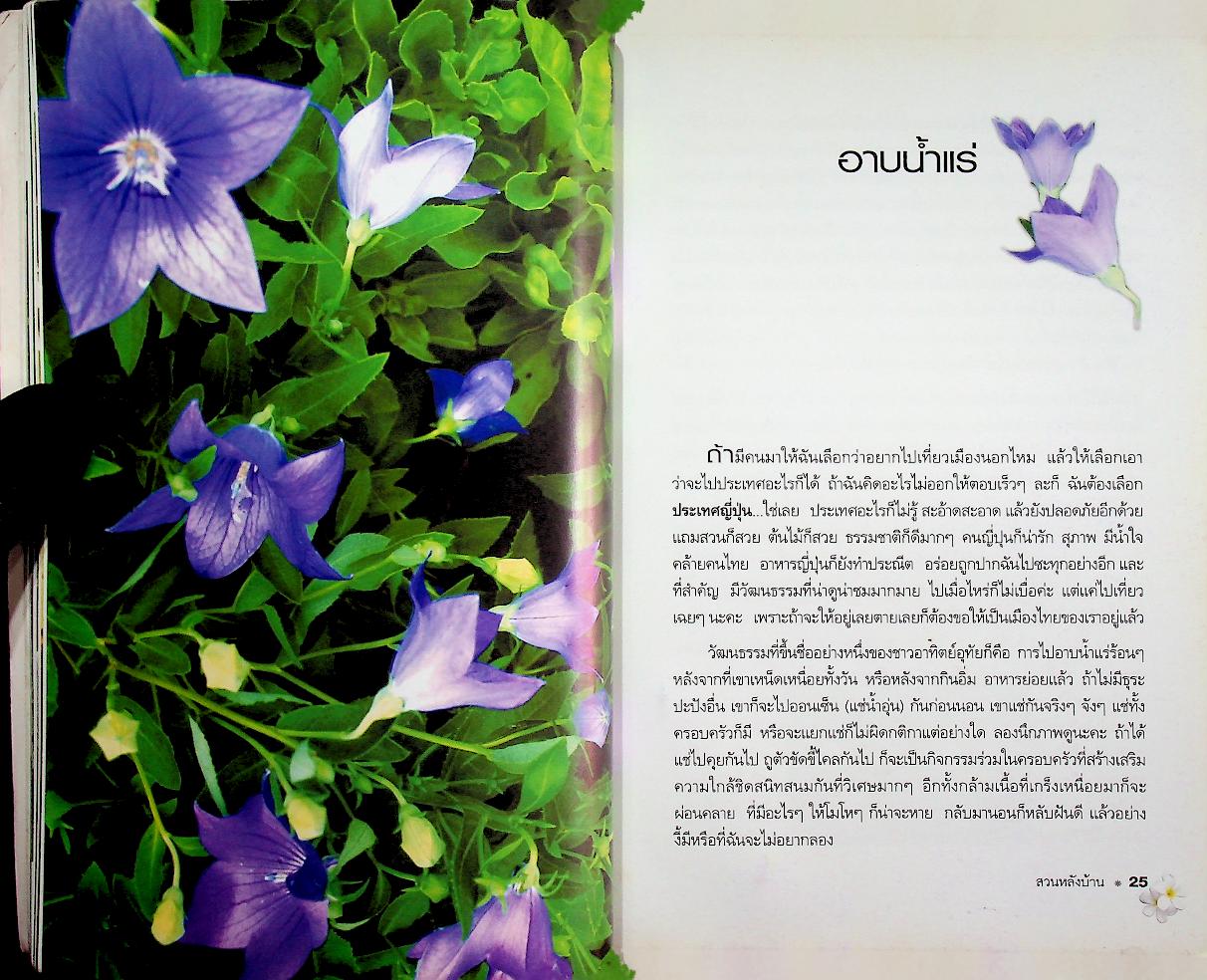 สวนหลังบ้าน : พลโท หญิง พูนภิรมย์ ลิปตพัลลภ