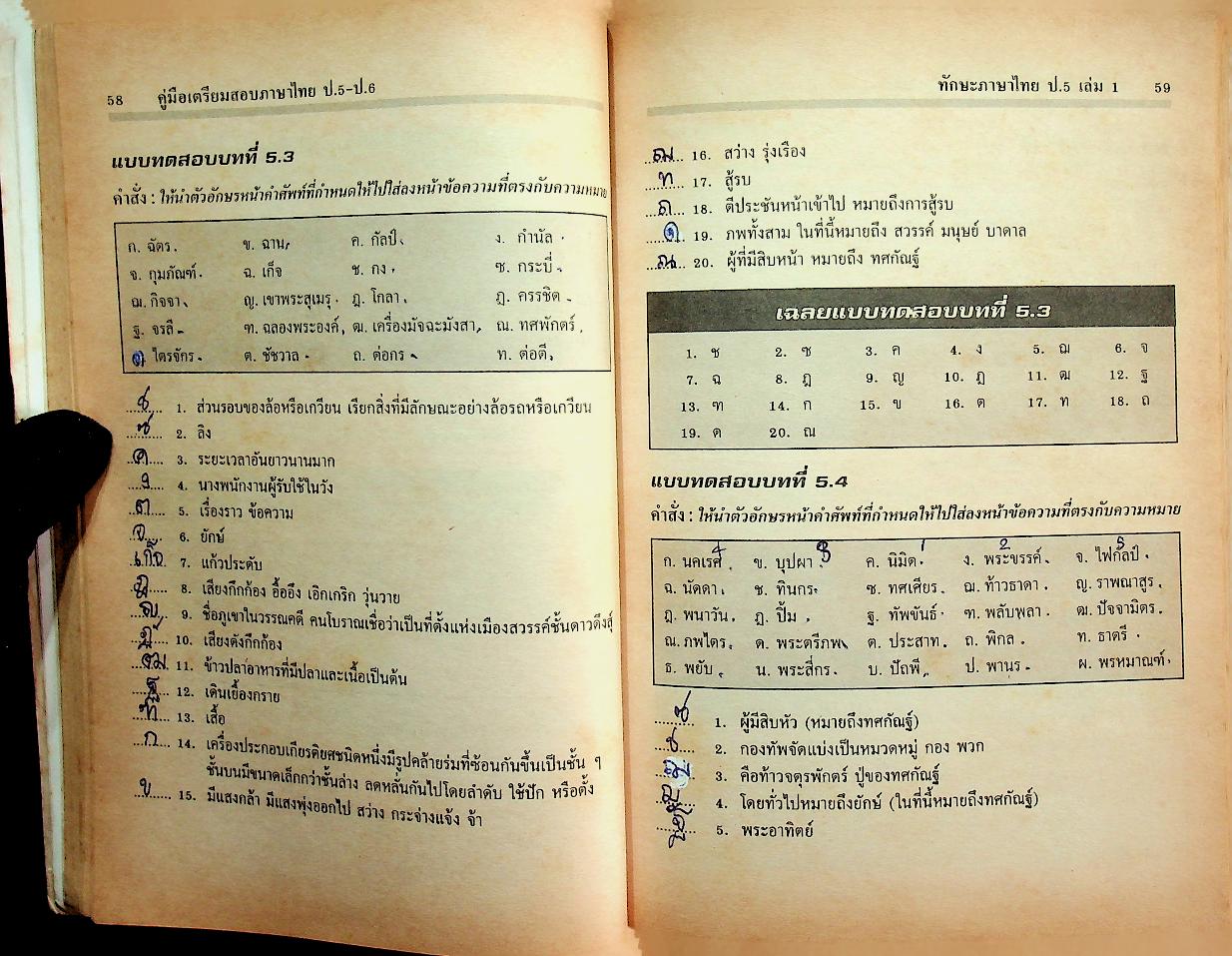 คู่มือเตรียมสอบ ภาษาไทย ป.5-ป.6