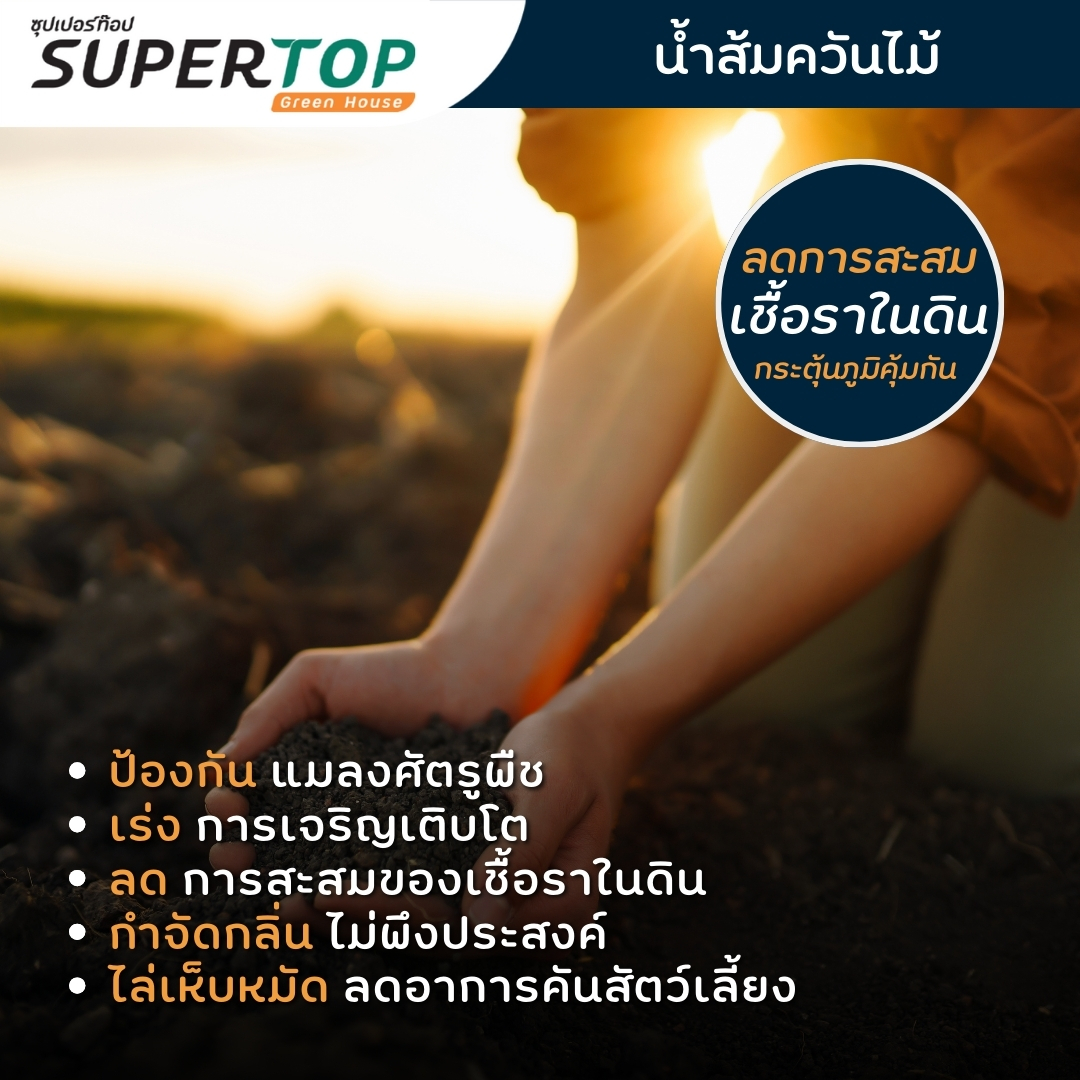 ไบโอพลัส- น้ำส้มควันไม้ 100% สูตรเข้มข้น 500 ml.