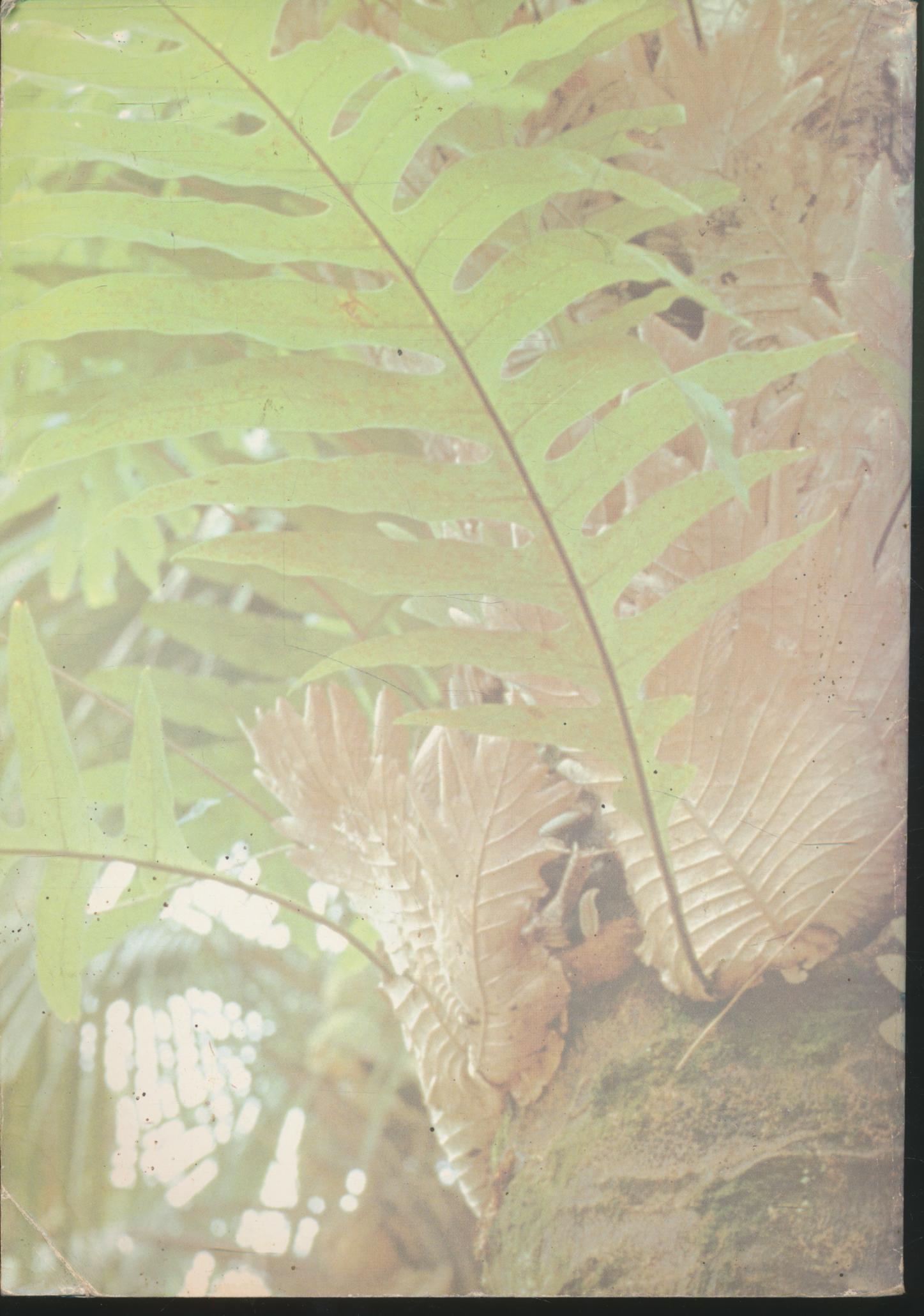 คู่มือครู สร้างเสริมประสบการณ์ชีวิต วิทยาศาสตร์ ชั้นประถมศึกษาปีที่ ๖