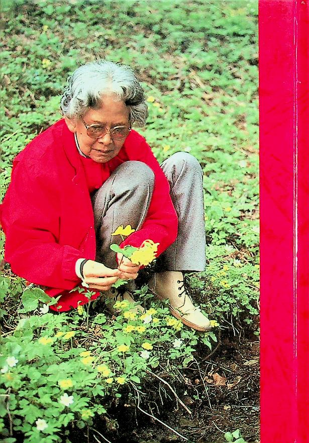 ๙๐ พรรษา แม่ฟ้าหลวง