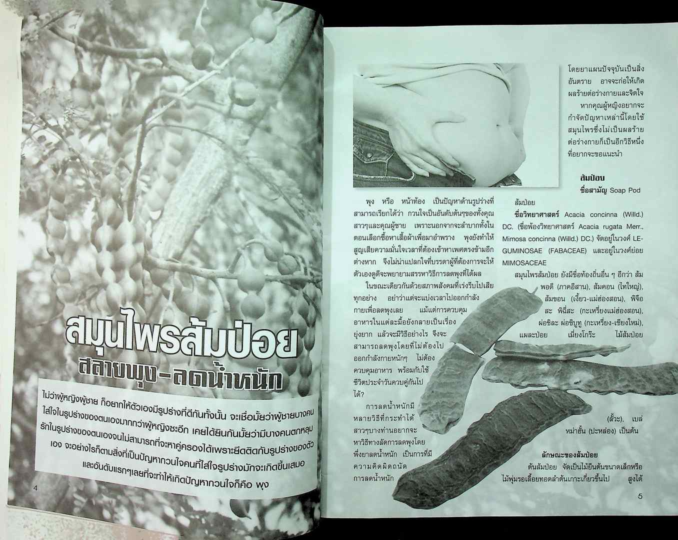 ๑๐๘ สมุนไพรไทย