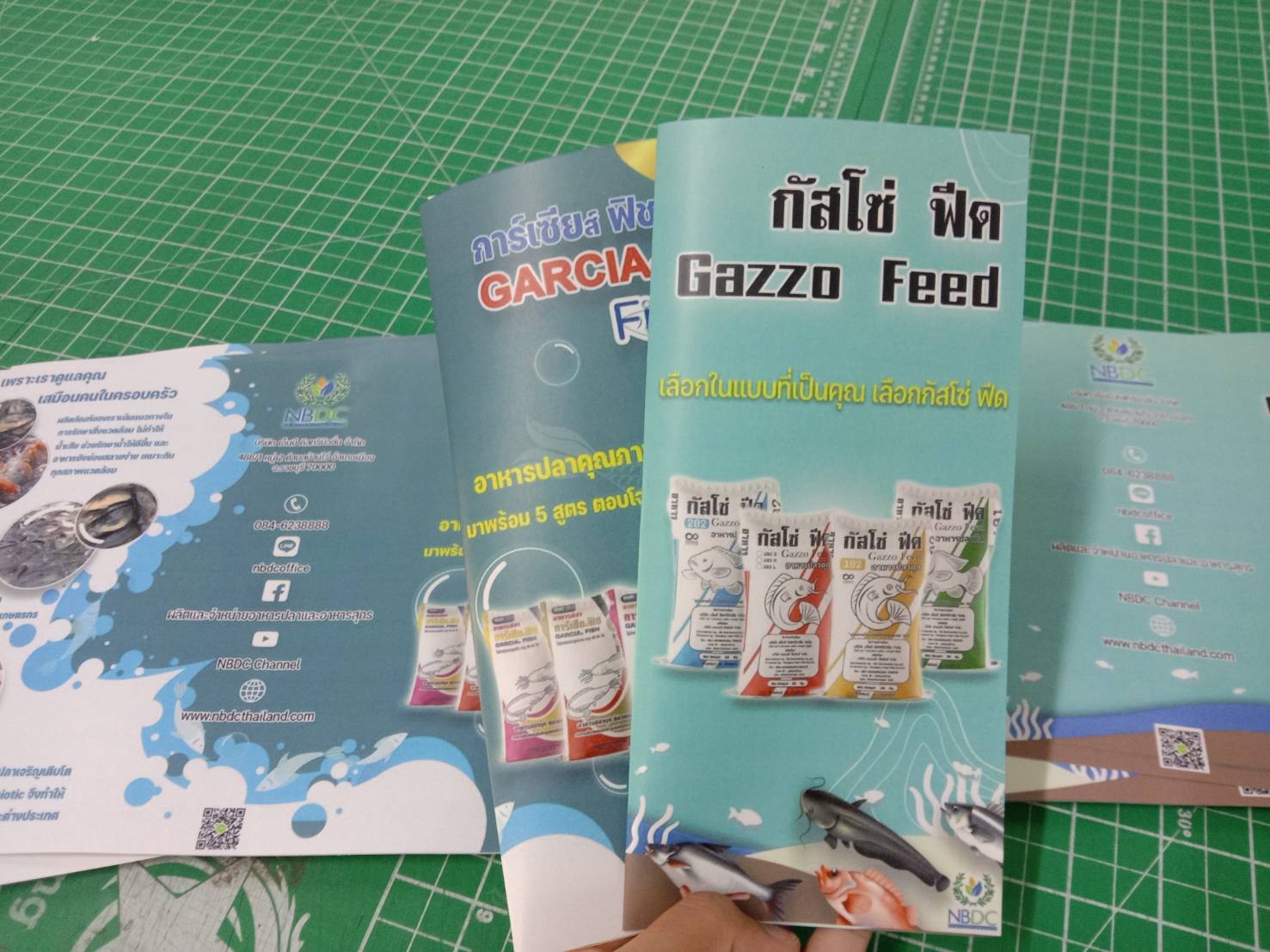 ปริ้นท์โบว์ชัวร์กระดาษ งาน Garcia Fish