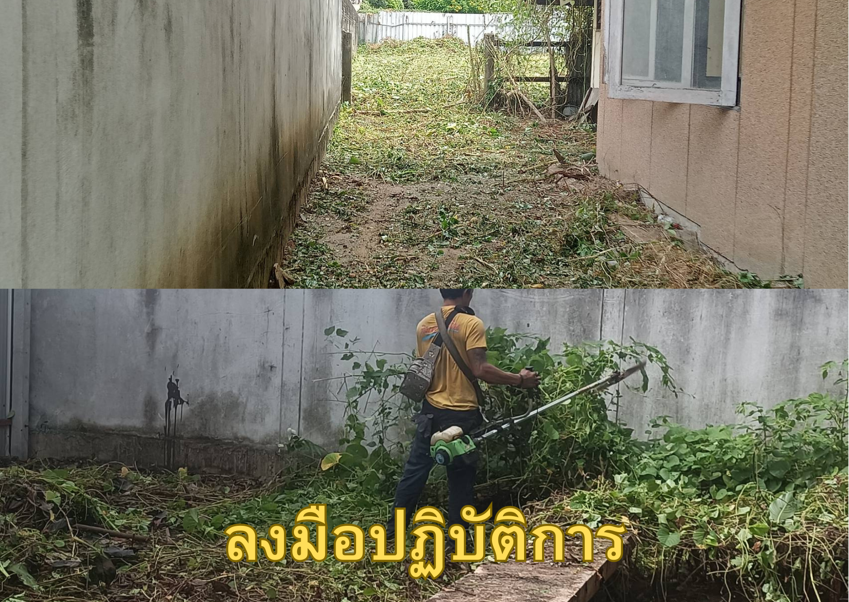 บริการรับตัดหญ้า เคลียร์ริ่ง ถางป่า โทร 094-515-7920 บริการรับตัดหญ้า เคลียร์ริ่ง ถางป่า โทร 094-515-7920