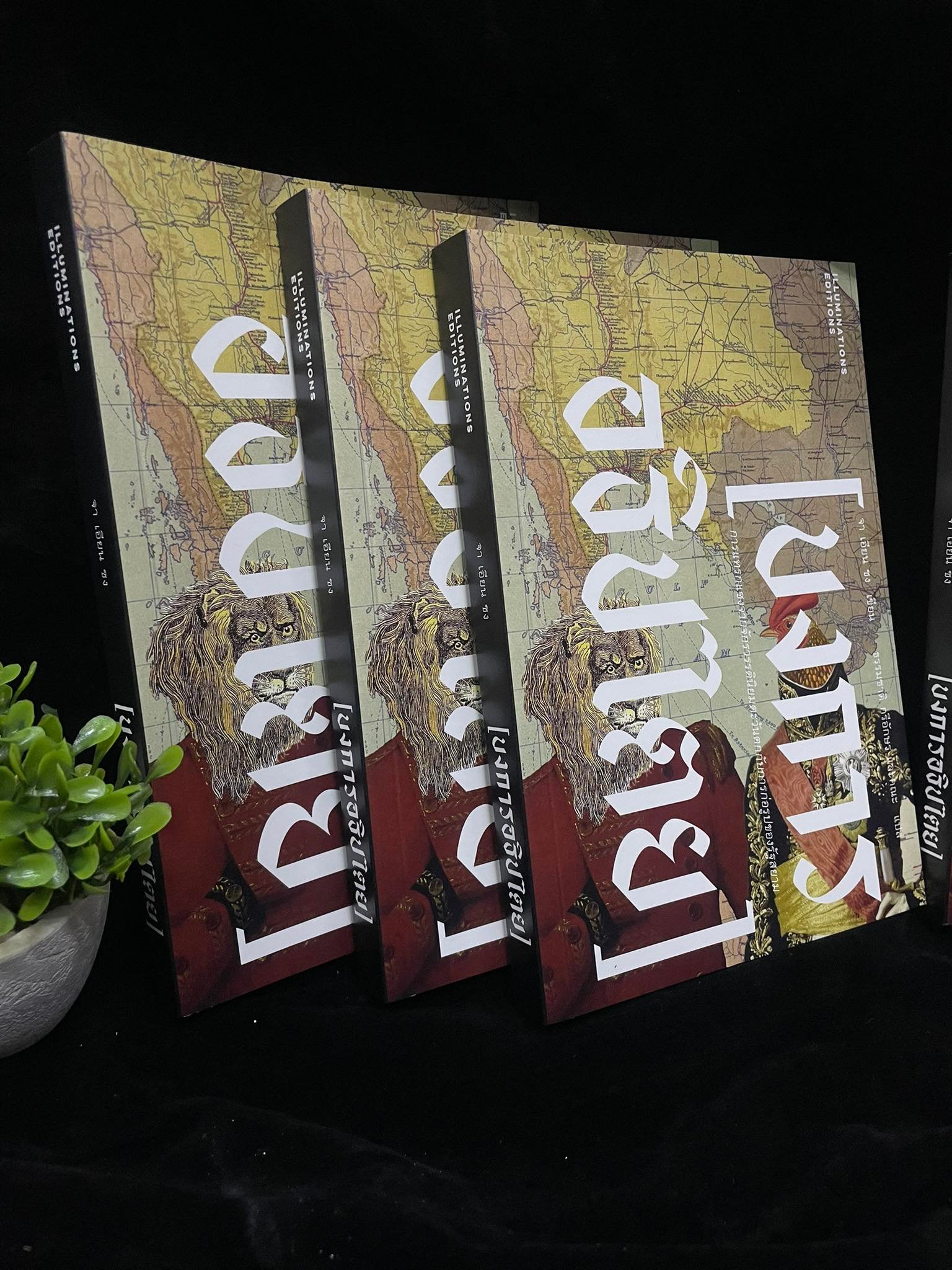 หนังสือ 'บงการอธิปไตย: การแทรกแซงจากจักรวรรดินิยมตะวันตกกับการก่อรูปของรัฐสยาม' ของจา เอียน ชง