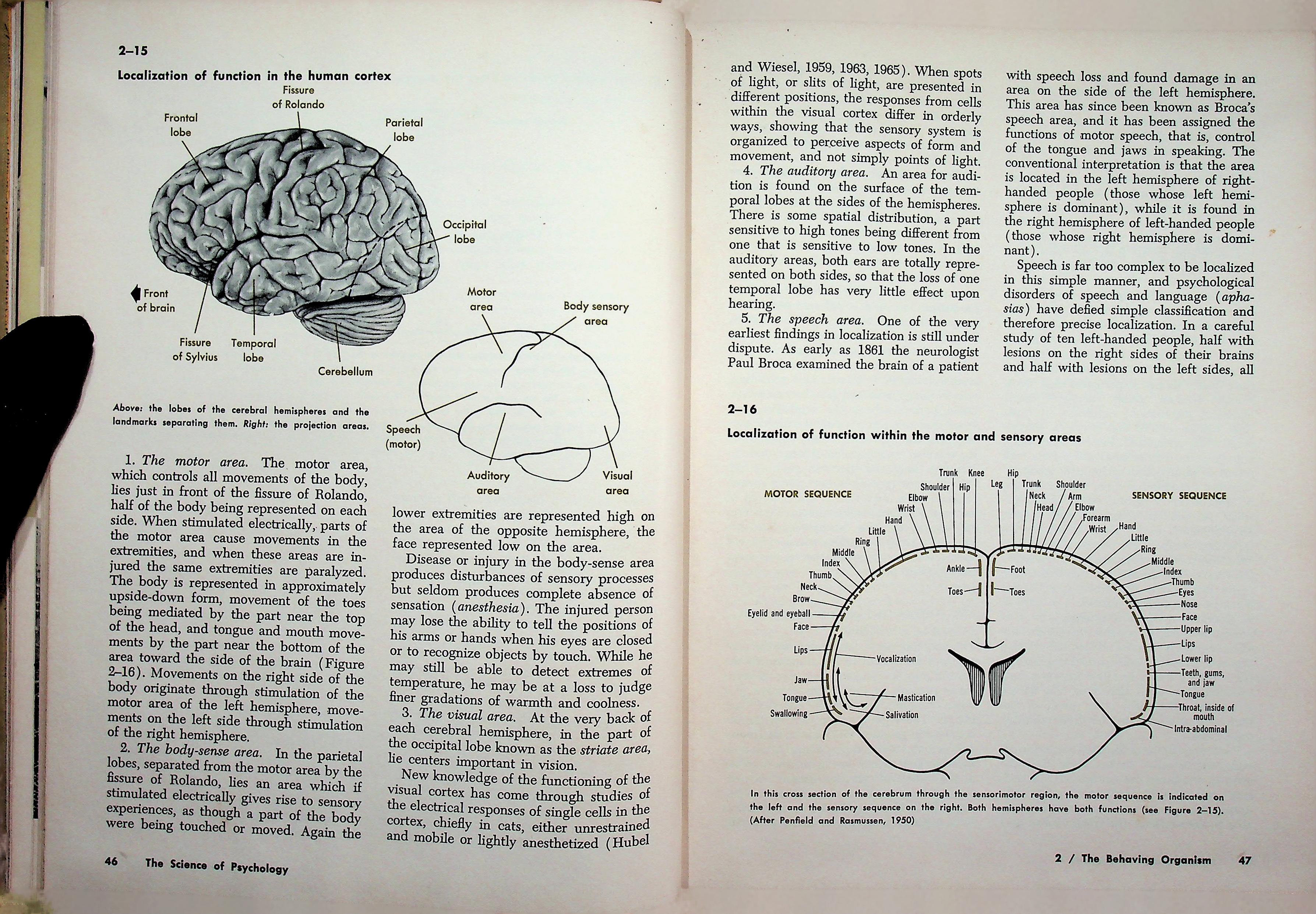 Introduction to Psychology