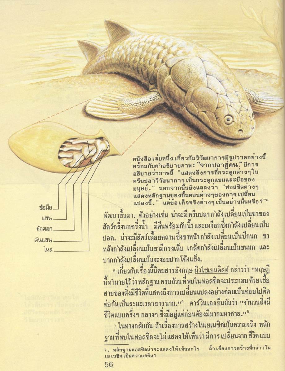ชีวิตเกิดขึ้นมาอย่างไร? โดยวิวัฒนาการหรือผู้มีสร้าง? (พระเยชู)