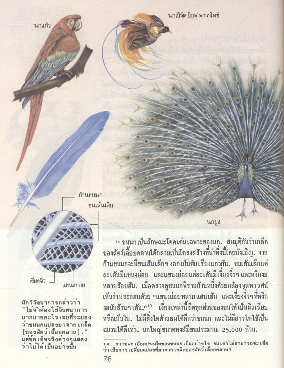 ชีวิตเกิดขึ้นมาอย่างไร? โดยวิวัฒนาการหรือผู้มีสร้าง? (พระเยชู)