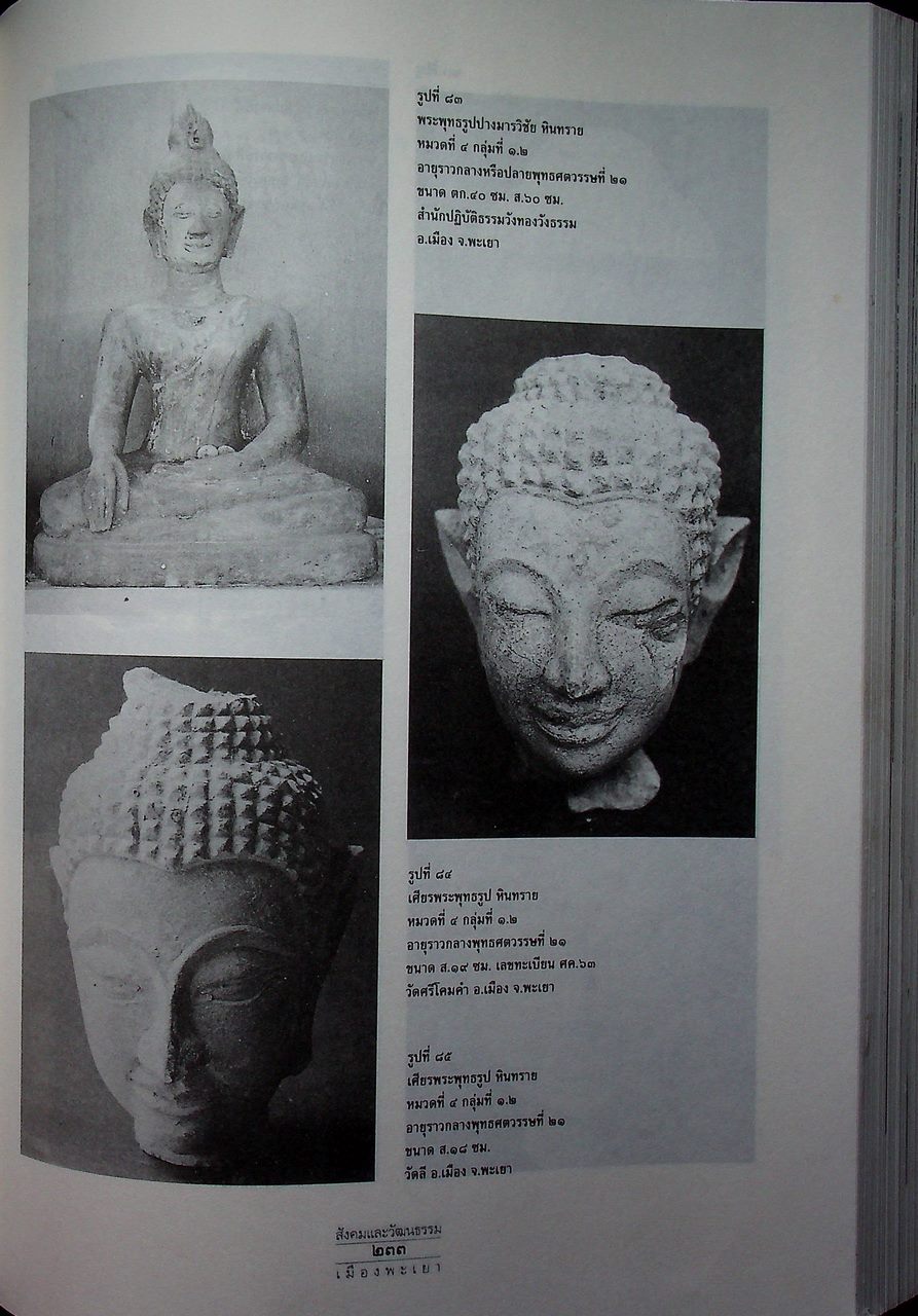 ประวัติศาสตร์ สังคมและวัฒนธรรม เมืองพะเยา PHAYAO : A Social and Cultural History