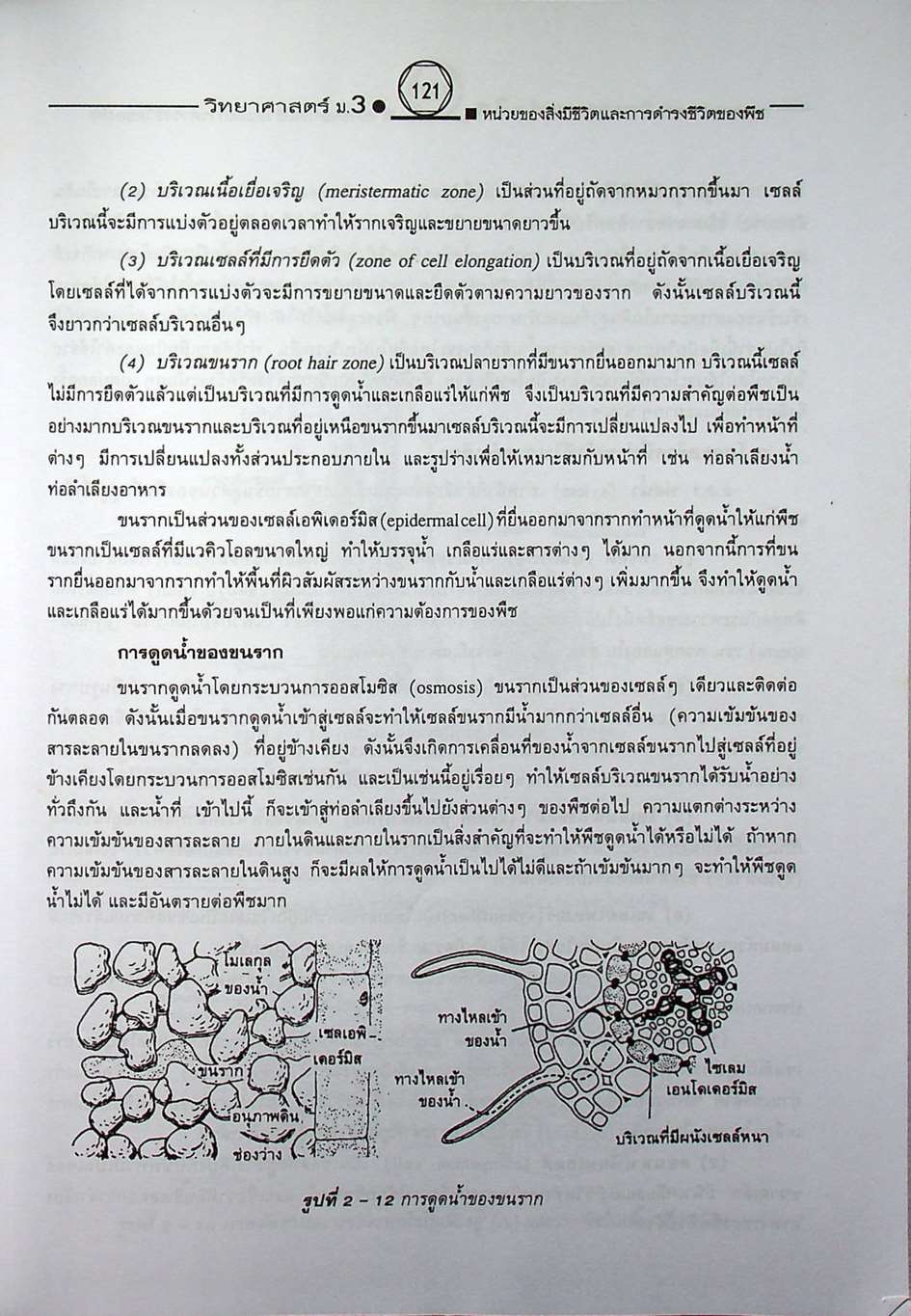 คู่มือเตรียมสอบสาระการเรียนรู้พื้นฐาน วิทยาศาสตร์ ม.3 ชีวิตกับสิ่งแวดล้อม สิ่งมีชีวิตกับกระบวนการดำรงชีวิต