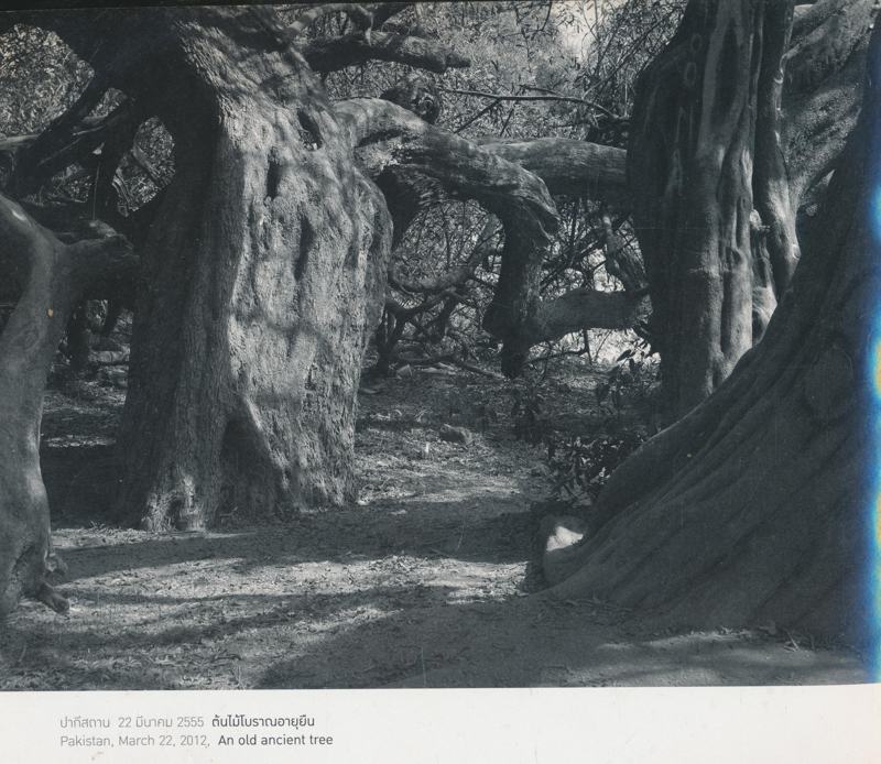 ควงกล้องท่องโลก ภาพถ่ายฝีพระหัตถ์ในสมเด็จพระเทพรัตนราชสุดา สยามบรมราชกุมารี 2554-2555