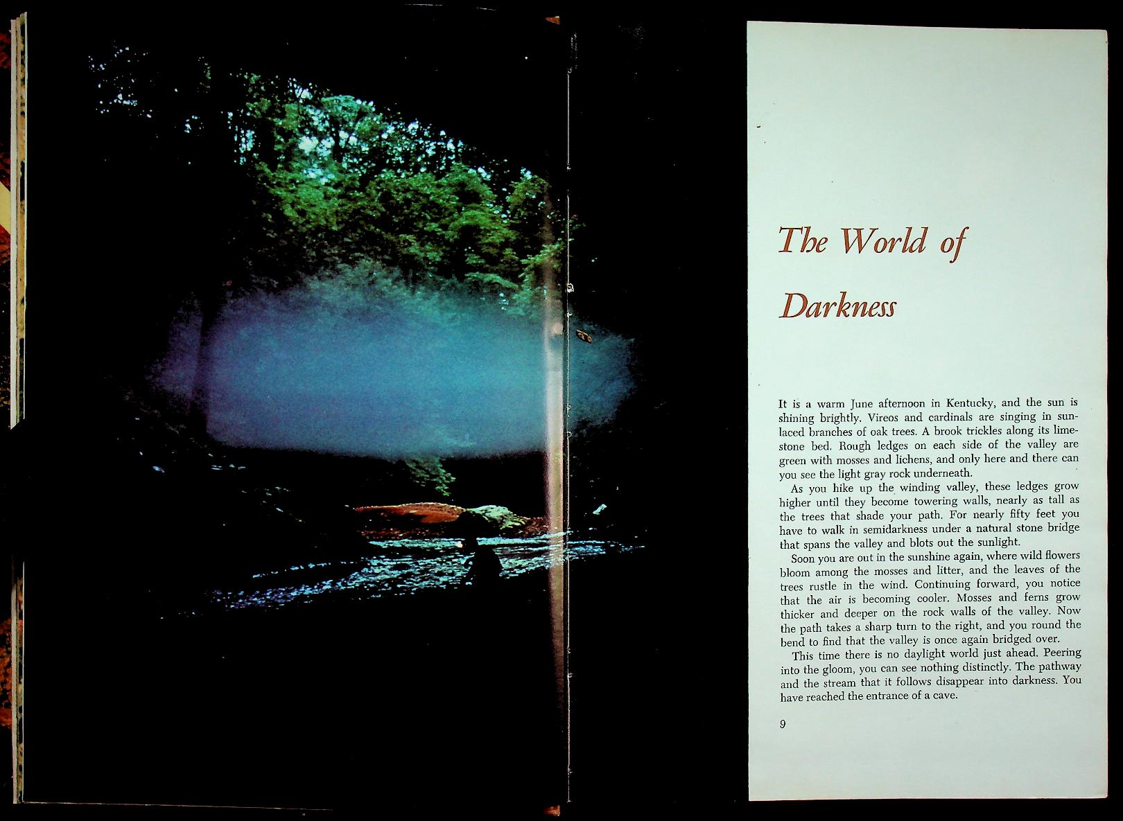 The Life of the Cave