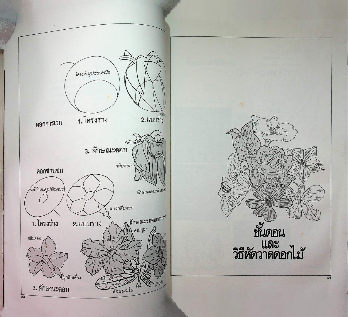 วาดดอกไม้